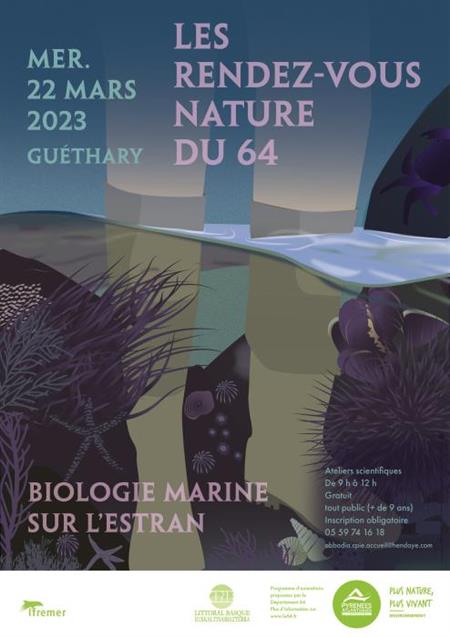 Les RDV Nature du 64 - Les RDV Nature du 64 -