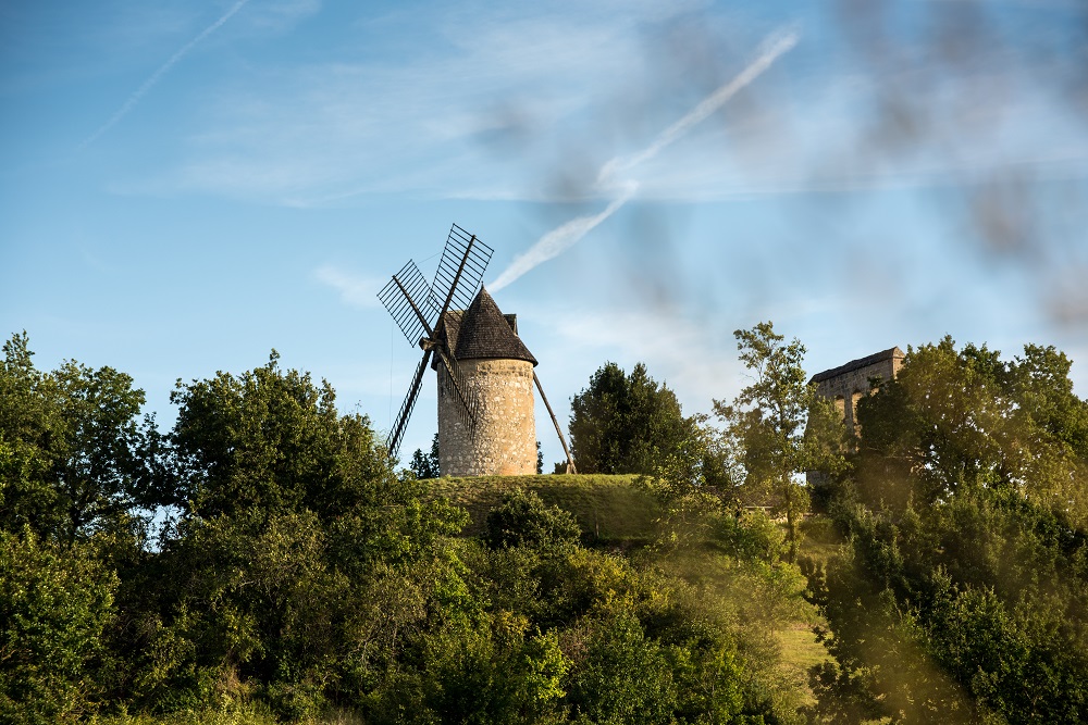 Tables d'interprétation des coteaux de Tourtrès