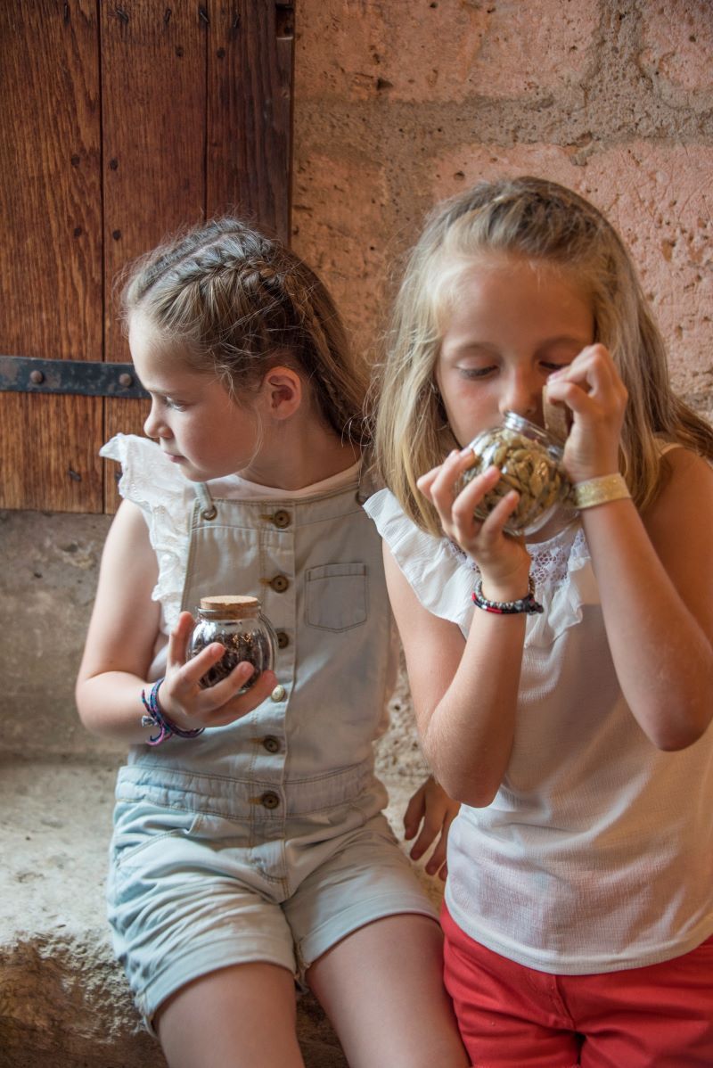 Château de Bourdeilles, Bourdeilles - photo 4