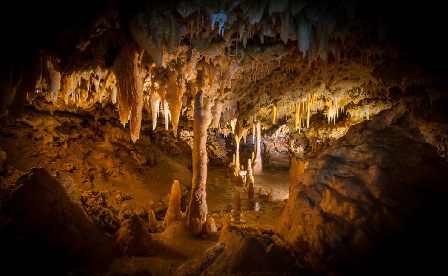 Grotte du Grand Roc, Les Eyzies