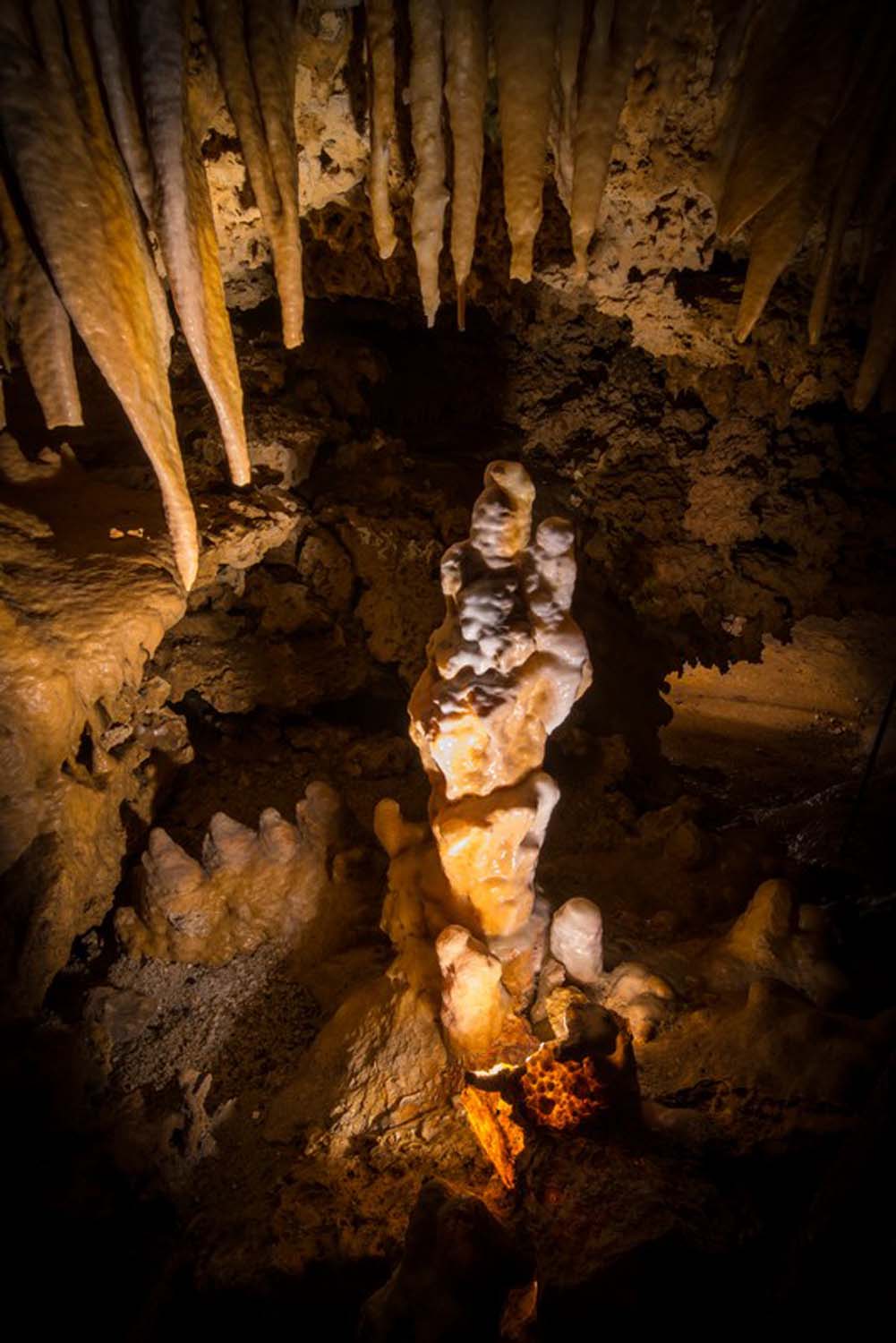 Grotte du Grand Roc, Les Eyzies - photo 6