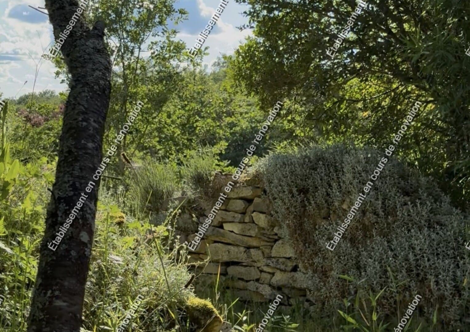 Domaine Amaïa, Saint-Aubin-de-Nabirat - photo 7