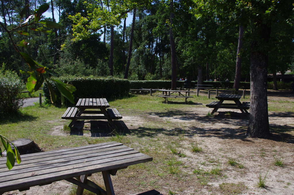 Aire de pique-nique