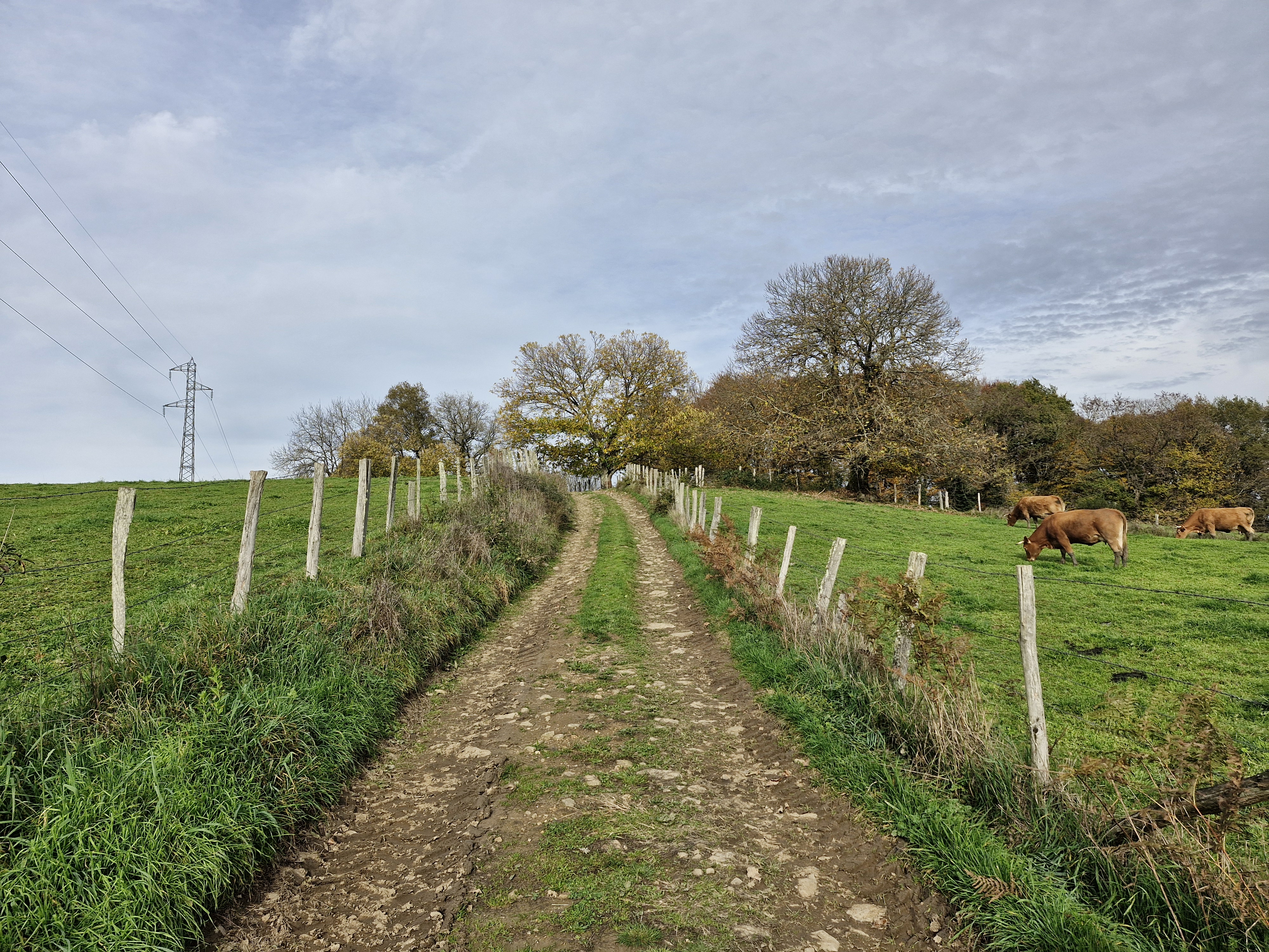 Circuit du Pont de la Roche, Vigeois - photo 9