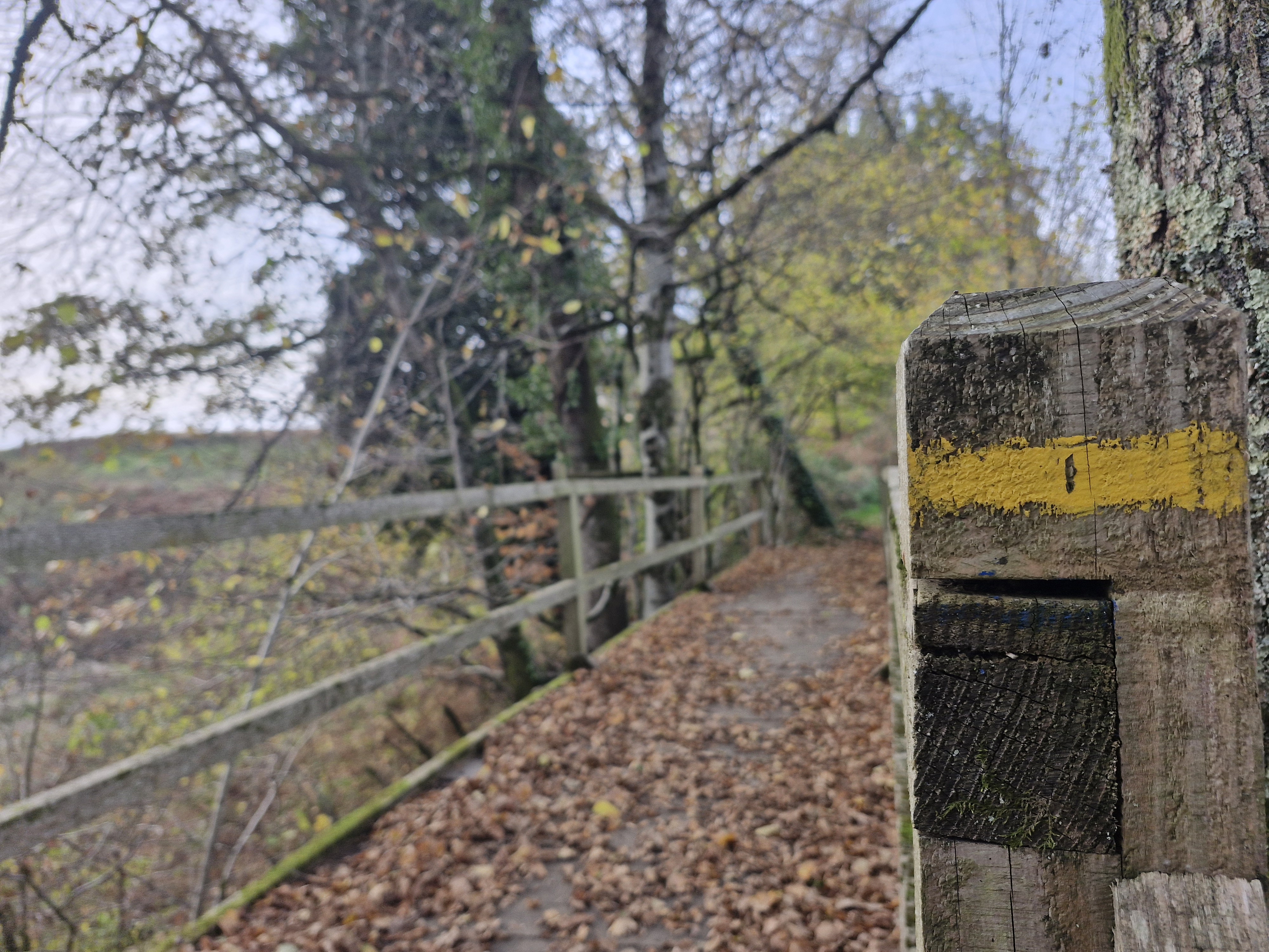 Circuit du Pont de la Roche - photo 3