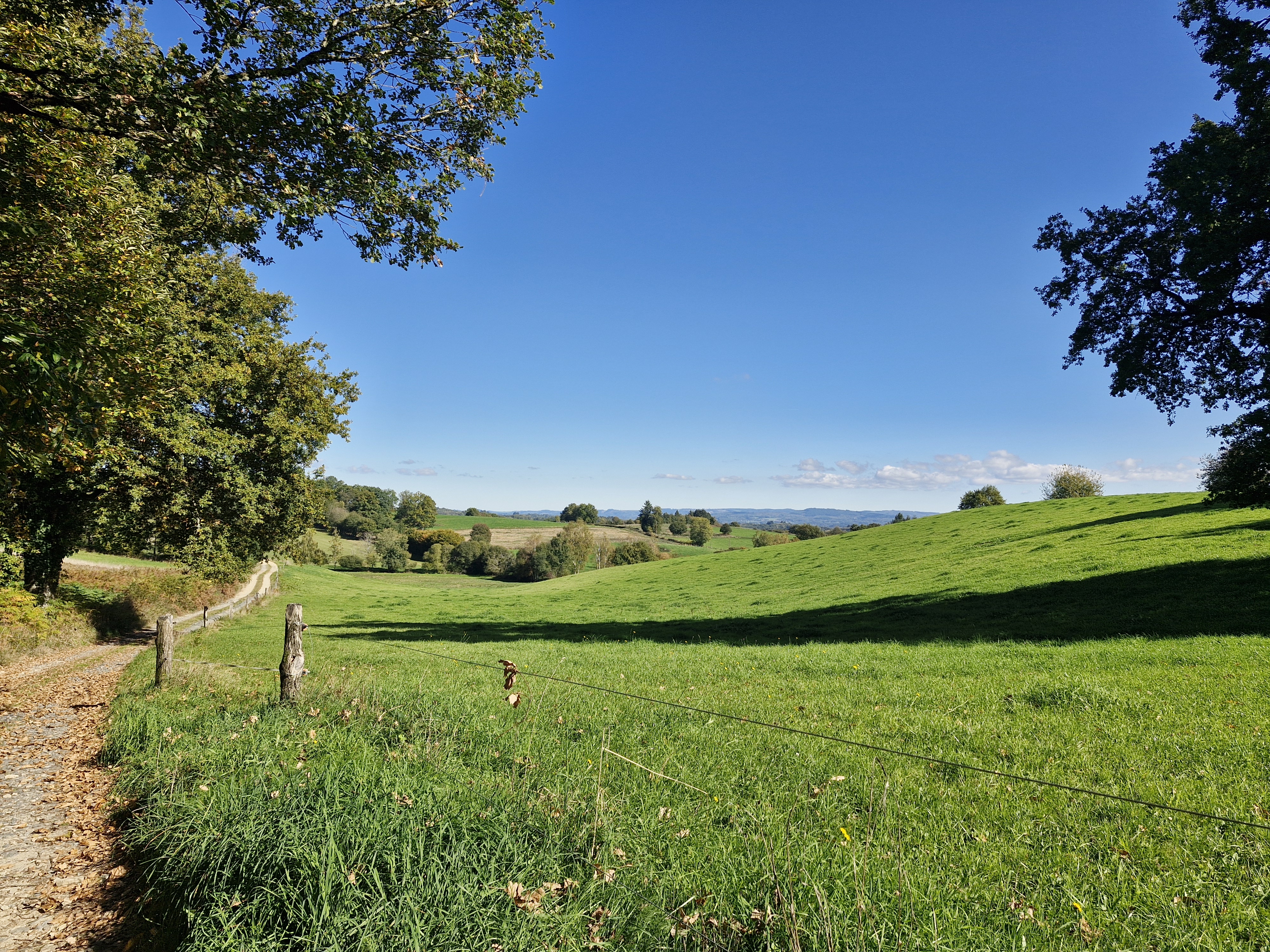 La randonnée de la forêt, Condat-sur-Ganaveix - photo 5