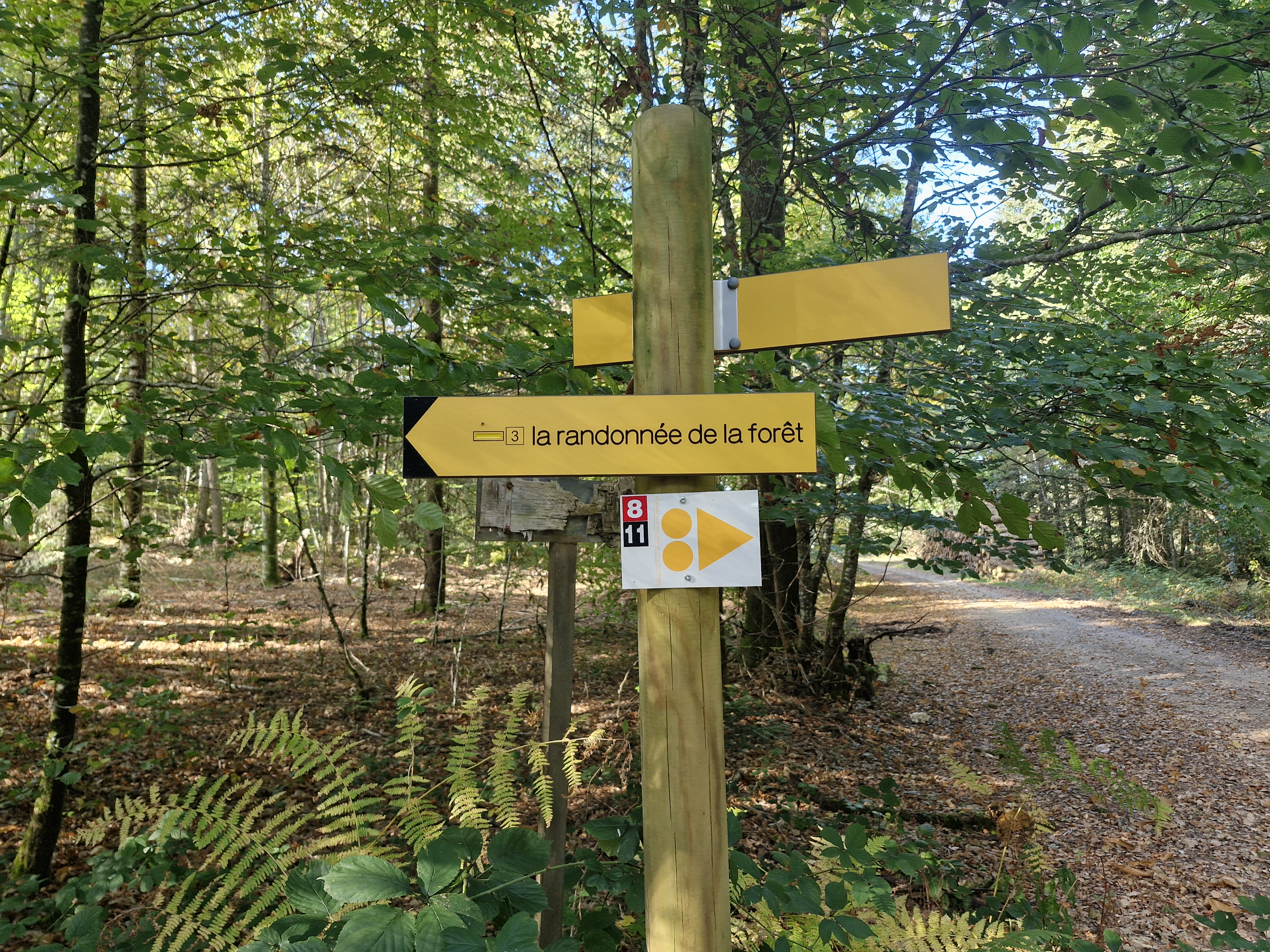 La randonnée de la forêt, Condat-sur-Ganaveix - photo 4