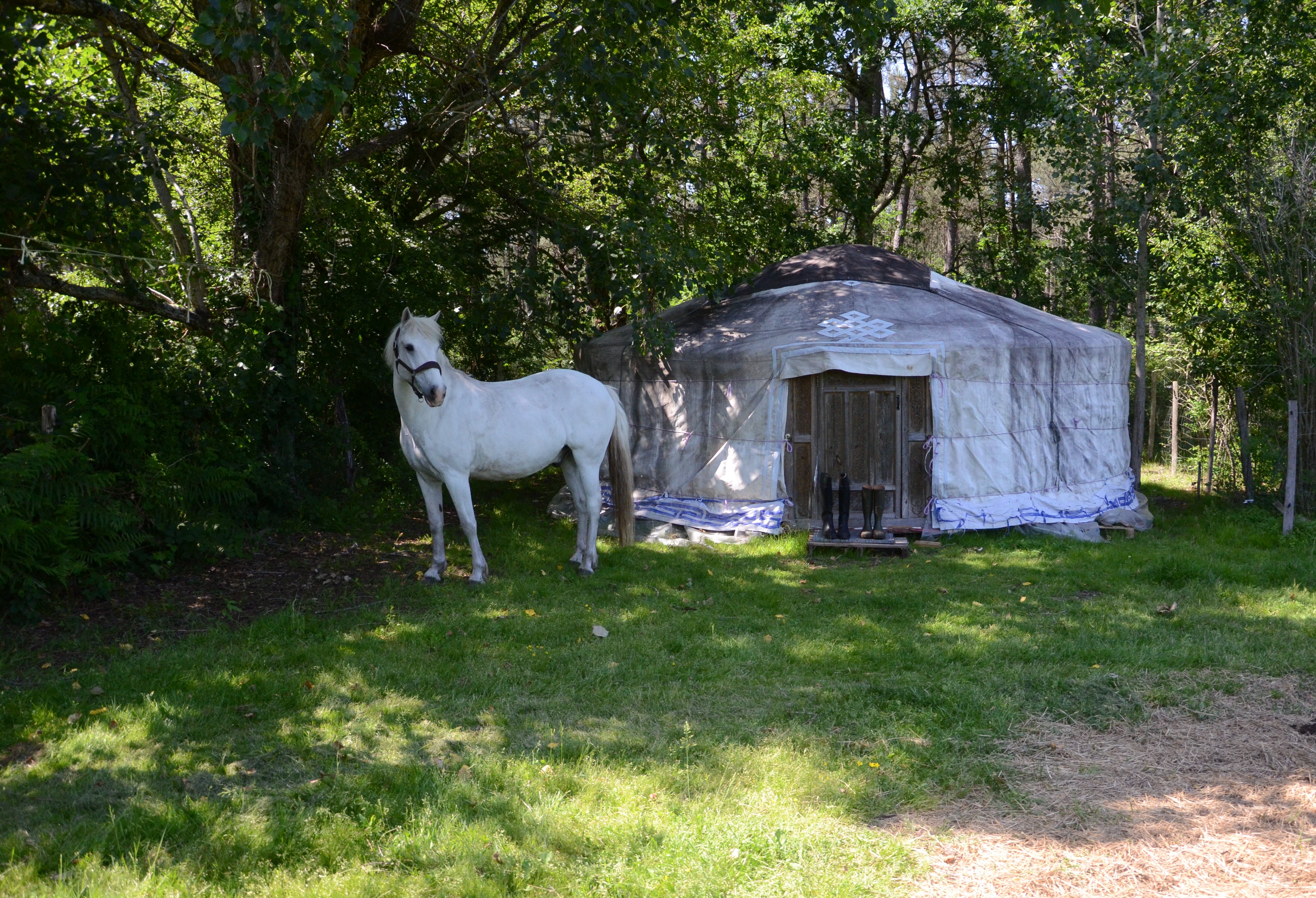 Yourte du Domaine du Plec - photo 2