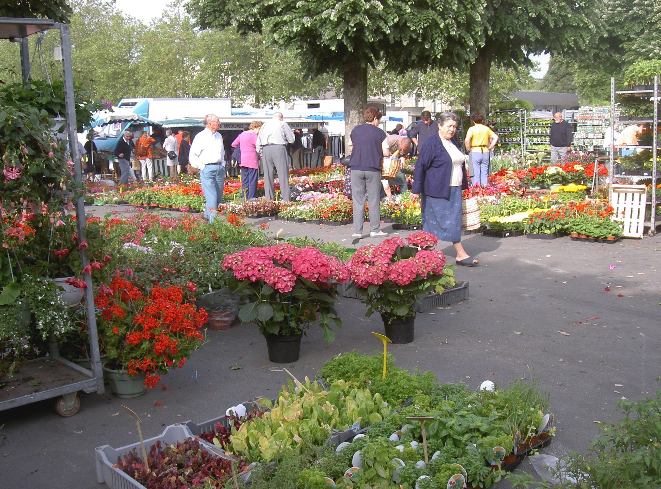 Marché de Chauvigny