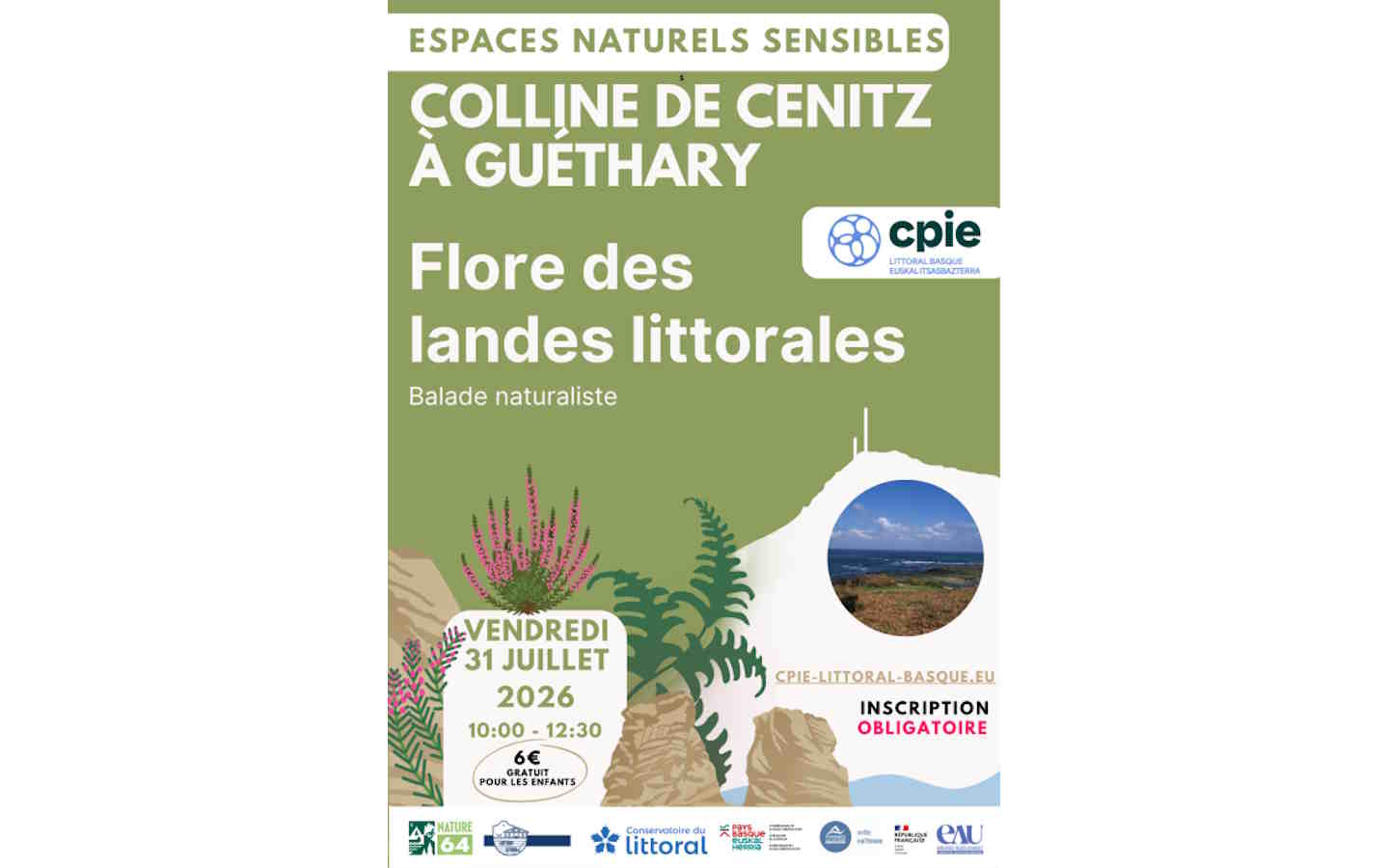 Balade naturaliste : flore des landes littorales sur la colline de Cénitz — visuel événement