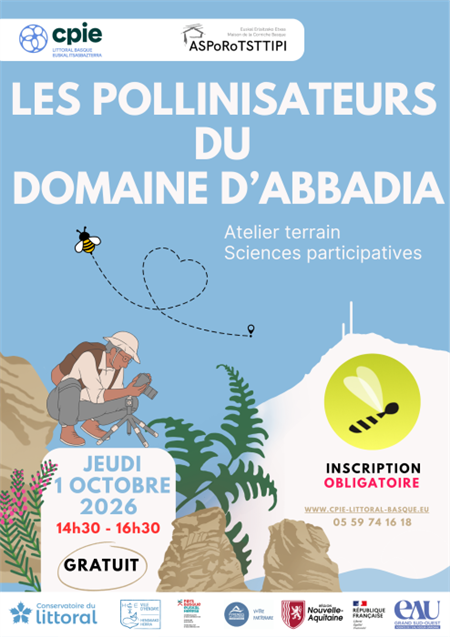 A la découverte des pollinisateurs du domaine d'Abbadia A la découverte des pollinisateurs du domaine d'Abbadia