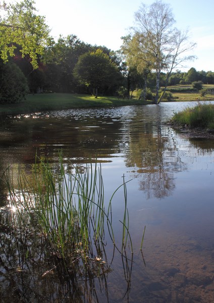 Etang communal, Lagarde-Marc-la-Tour