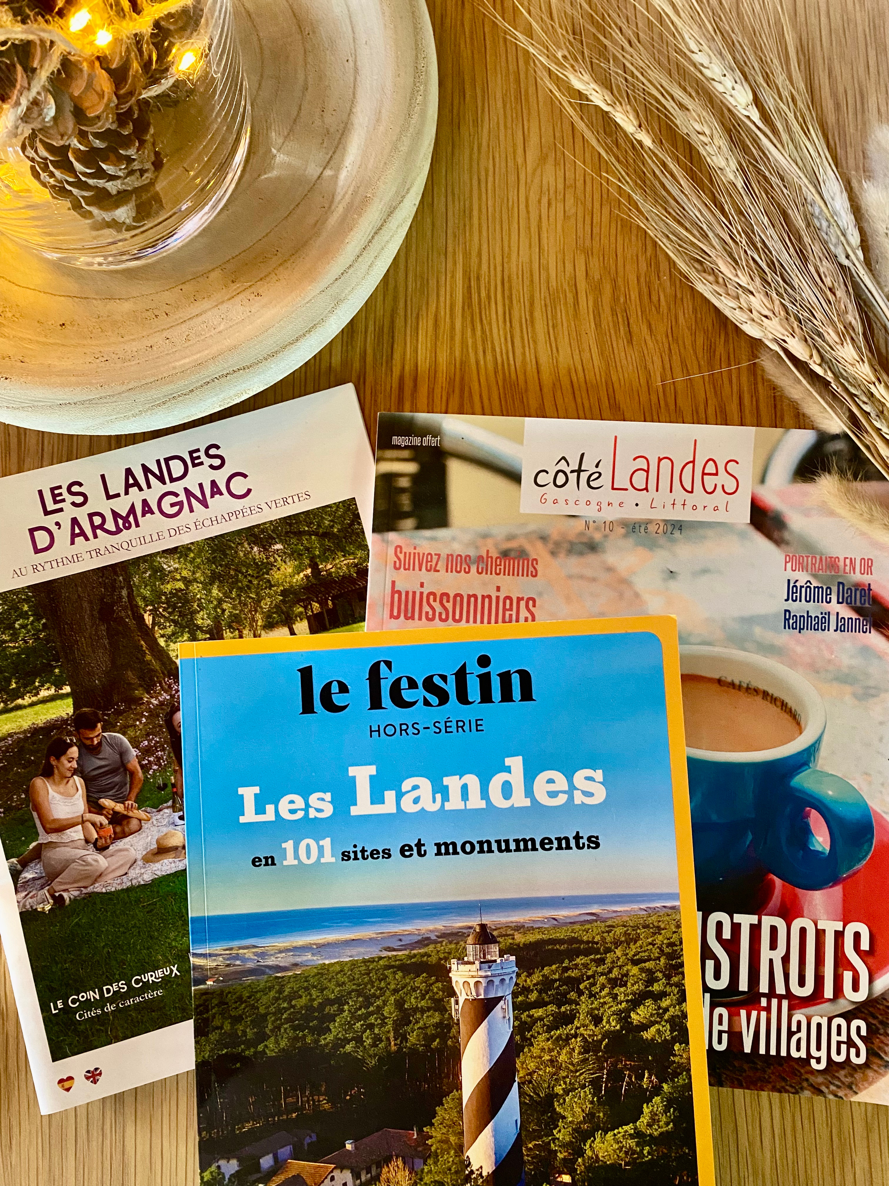 Domaine Bourgade, Betbezer-d'Armagnac - photo 10