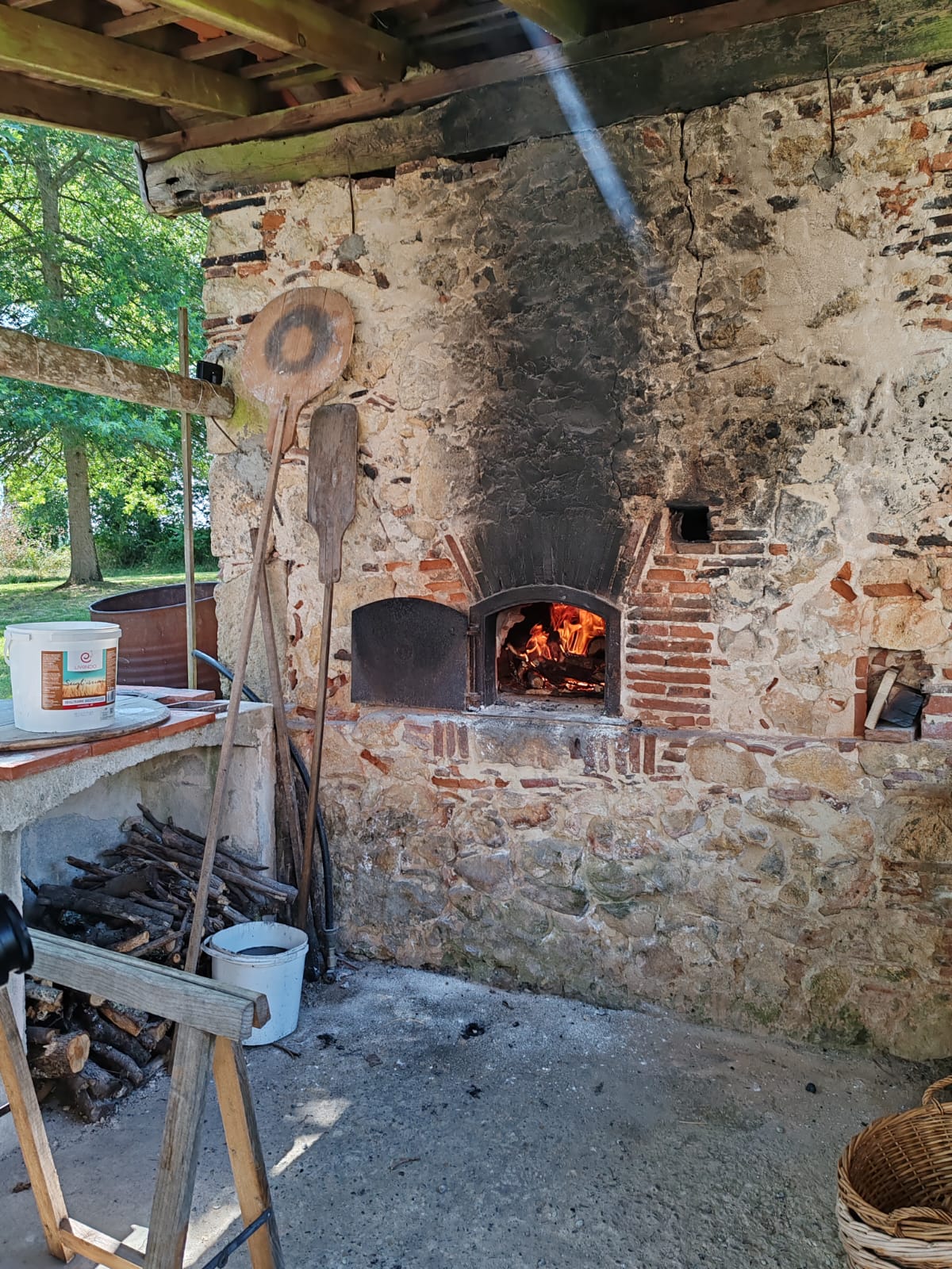 Domaine Bourgade, Betbezer-d'Armagnac - photo 19