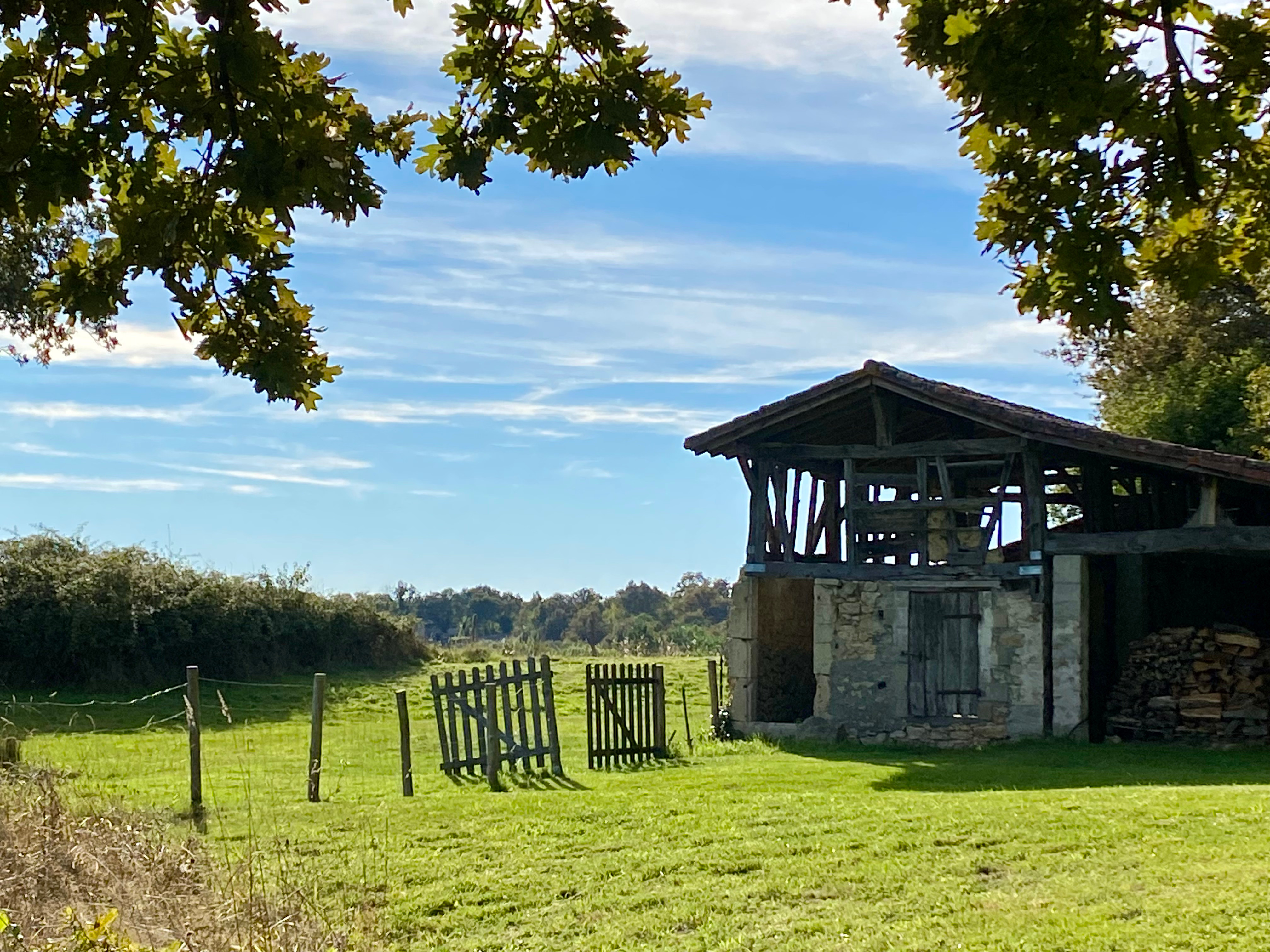 Domaine Bourgade, Betbezer-d'Armagnac - photo 7