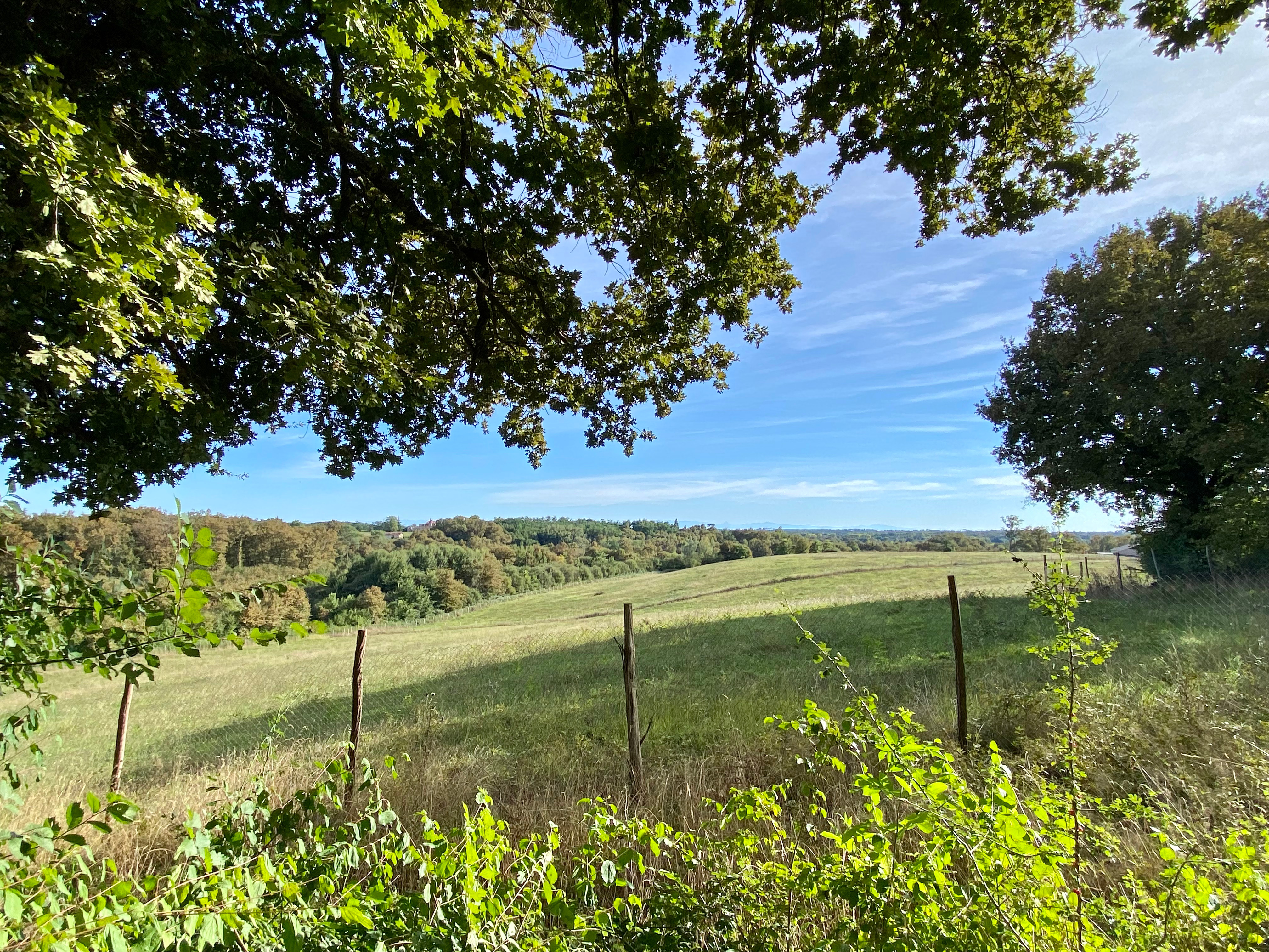 Domaine Bourgade, Betbezer-d'Armagnac - photo 12
