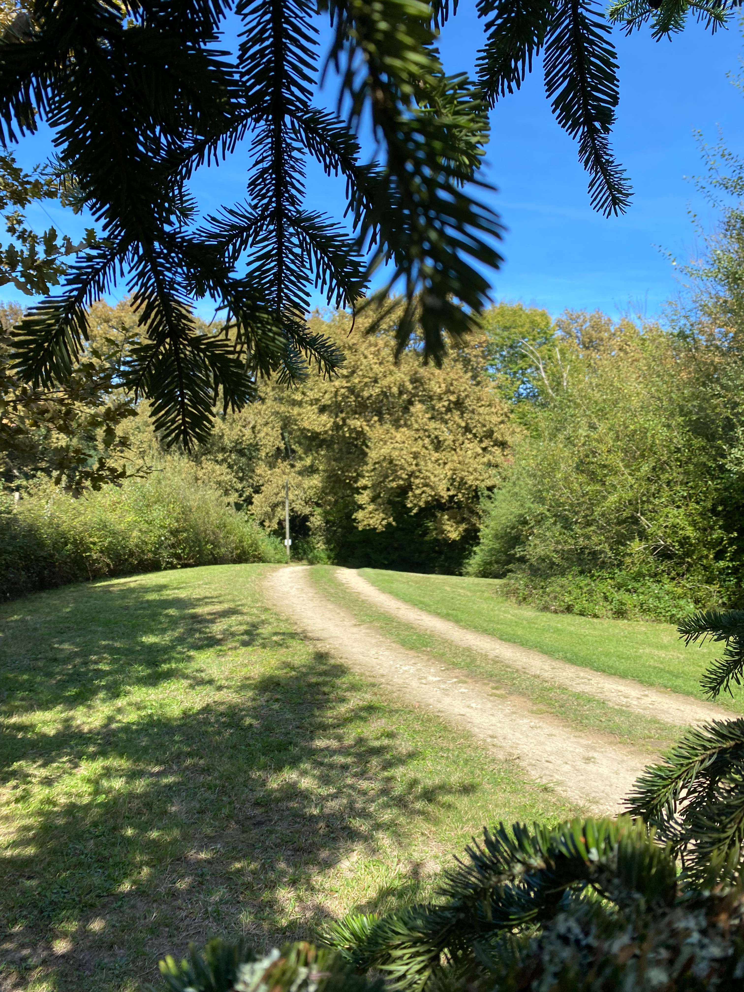 Domaine Bourgade, Betbezer-d'Armagnac - photo 22