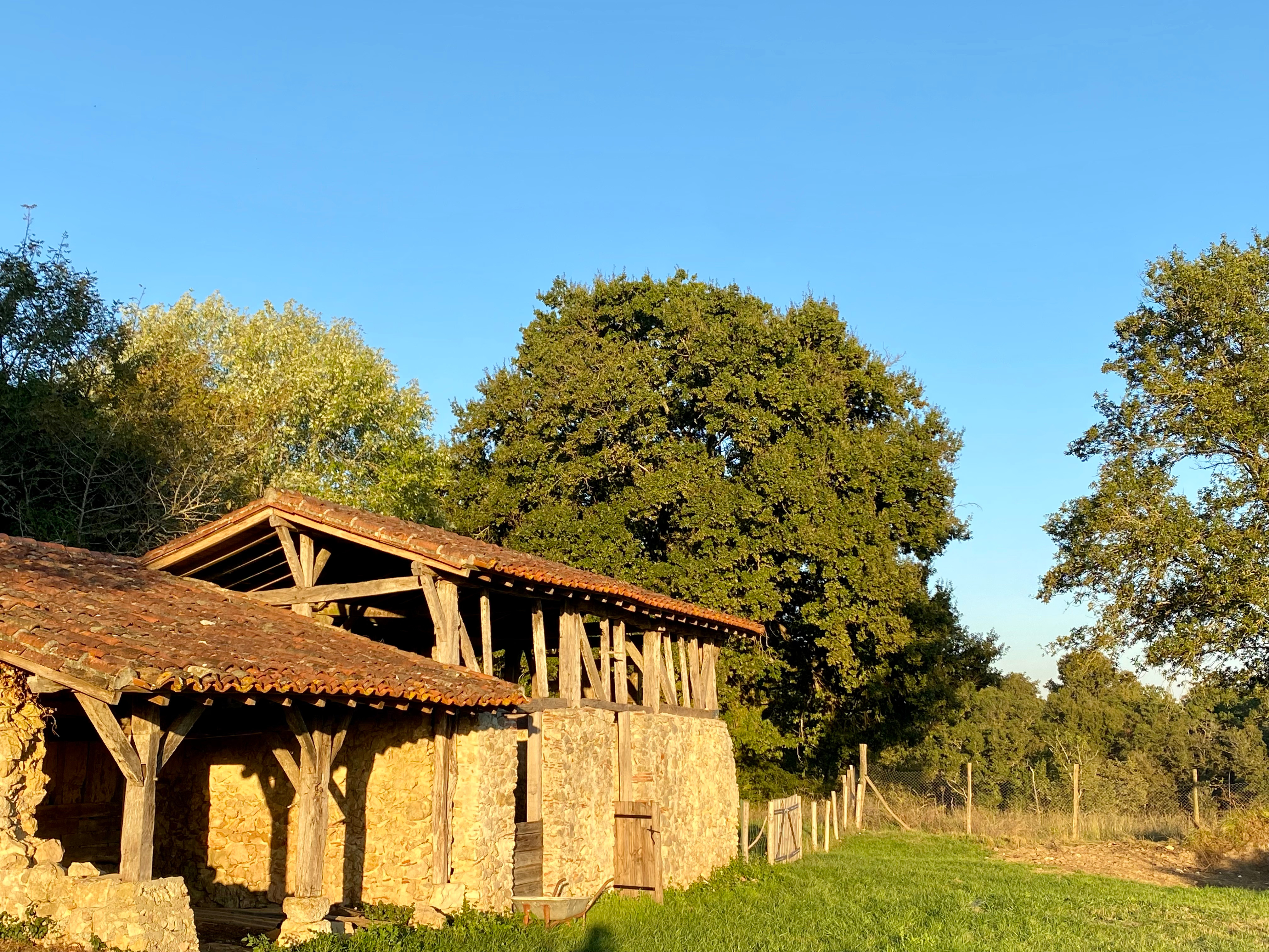 Domaine Bourgade, Betbezer-d'Armagnac - photo 15