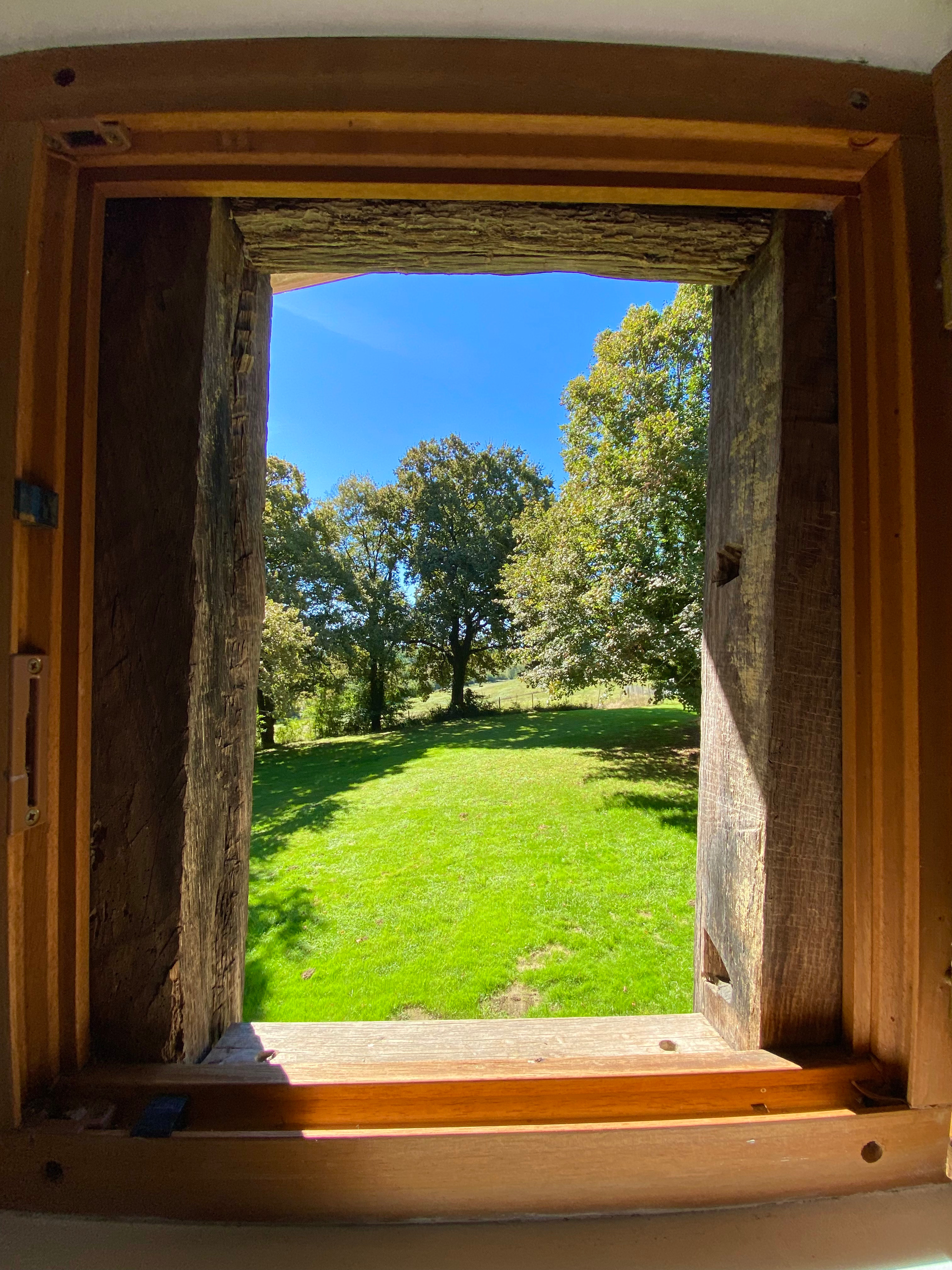 Domaine Bourgade, Betbezer-d'Armagnac - photo 16