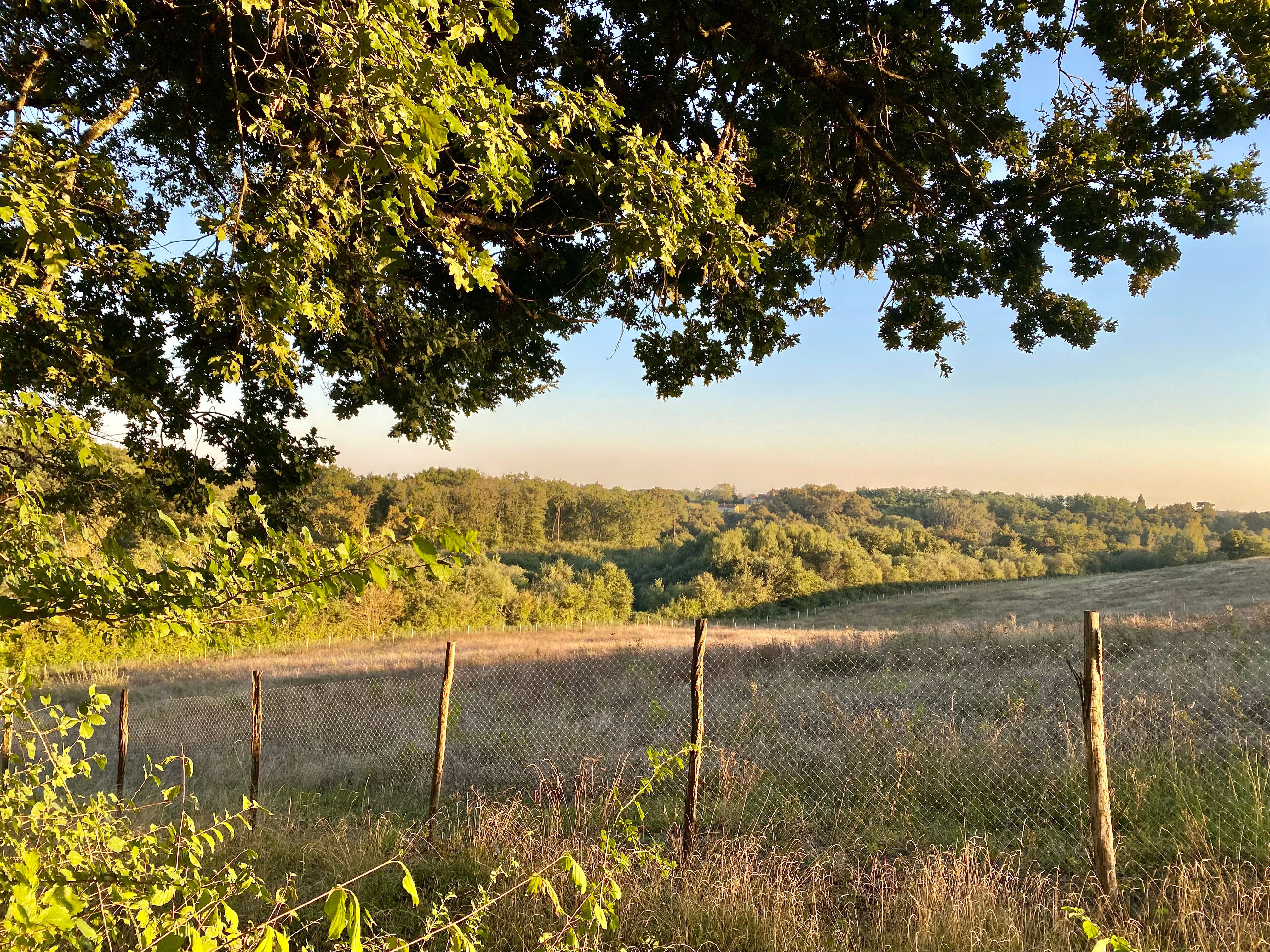 Domaine Bourgade, Betbezer-d'Armagnac - photo 21
