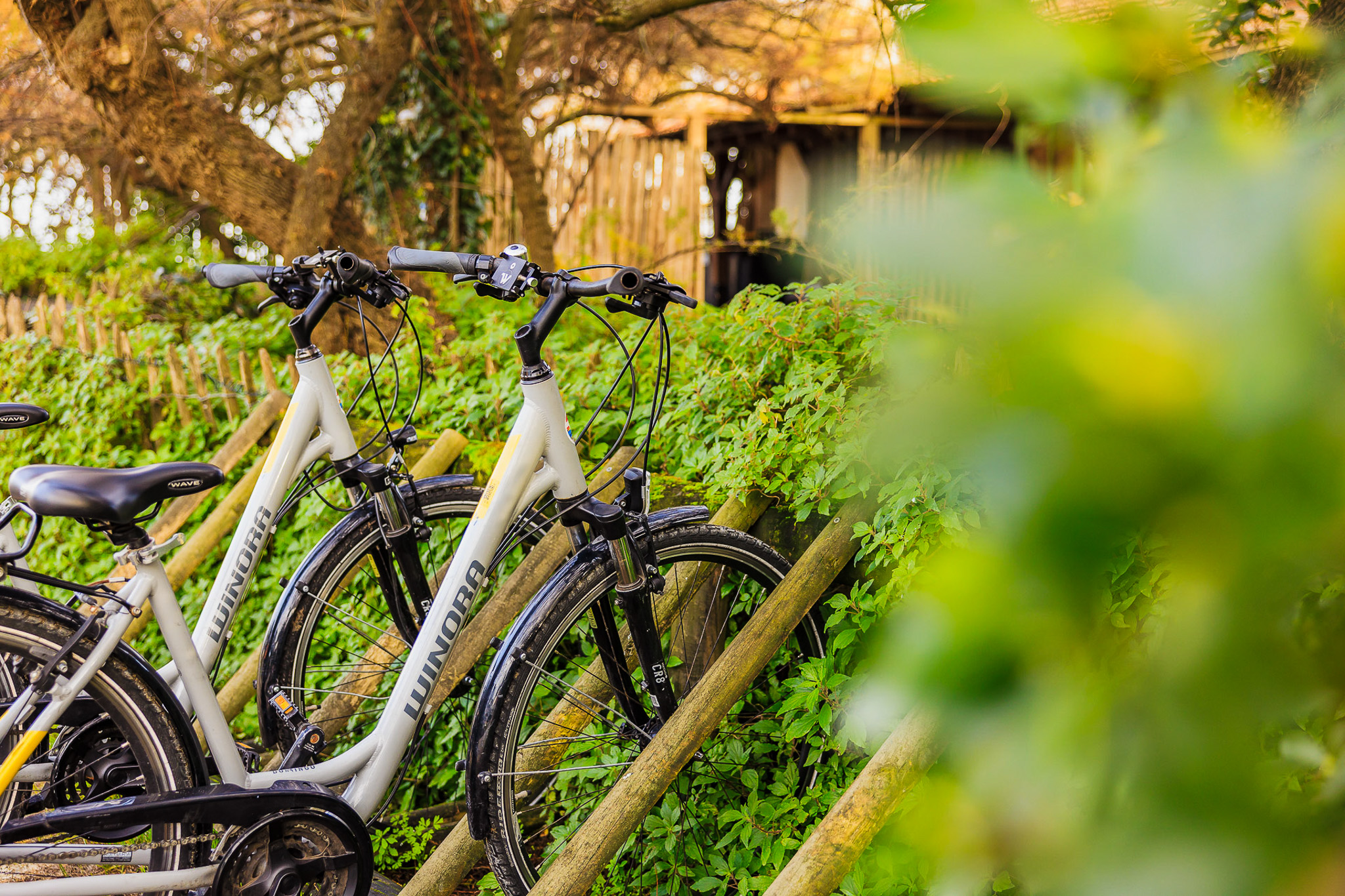 Les Vélos du Bassin