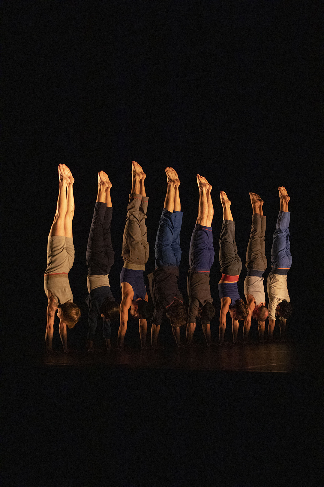 Saison culturelle - Le Complexe de l’Autruche - Collectif d’équilibristes