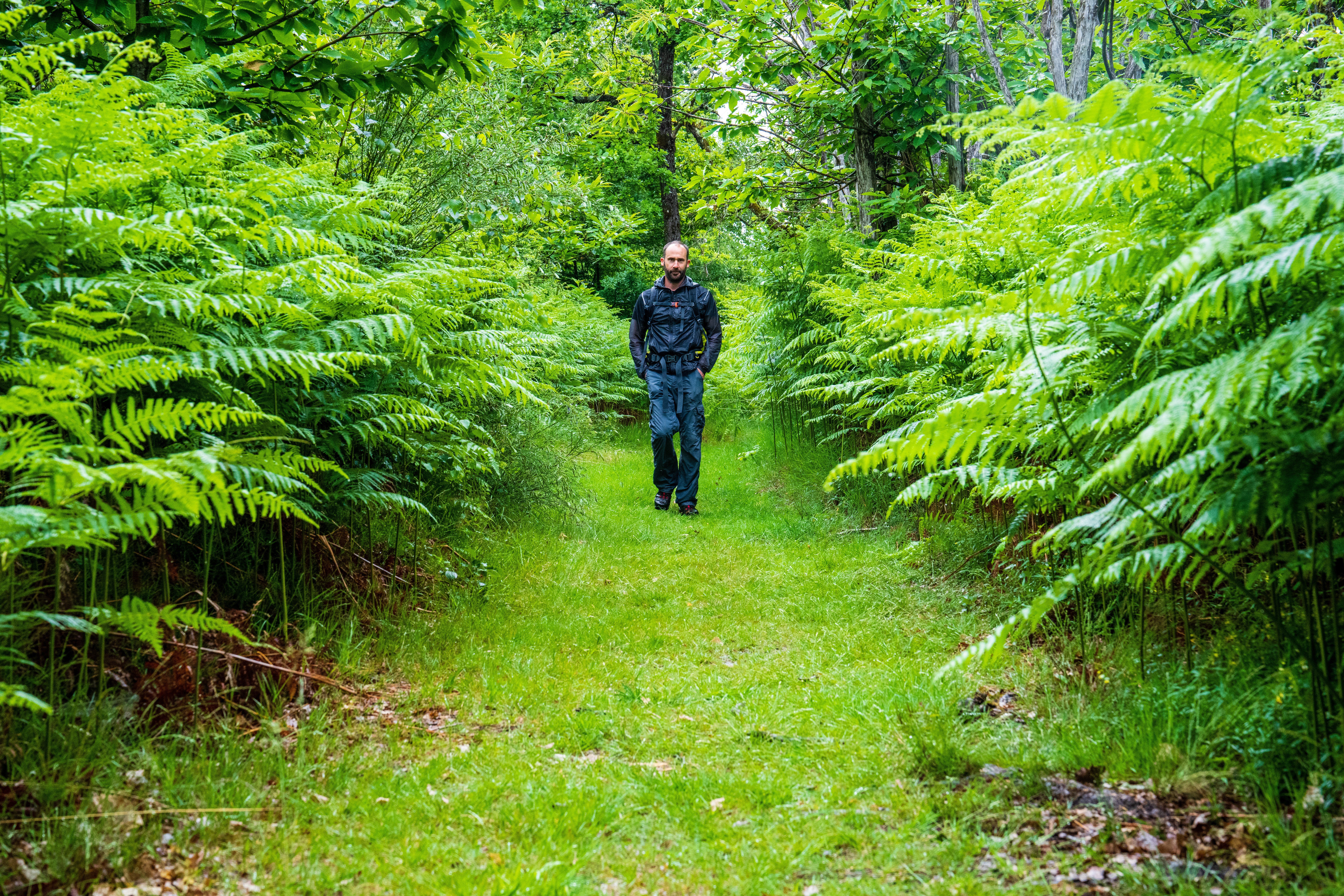 Boucle du GR de Pays du Midi Corrézien, Turenne - photo 38