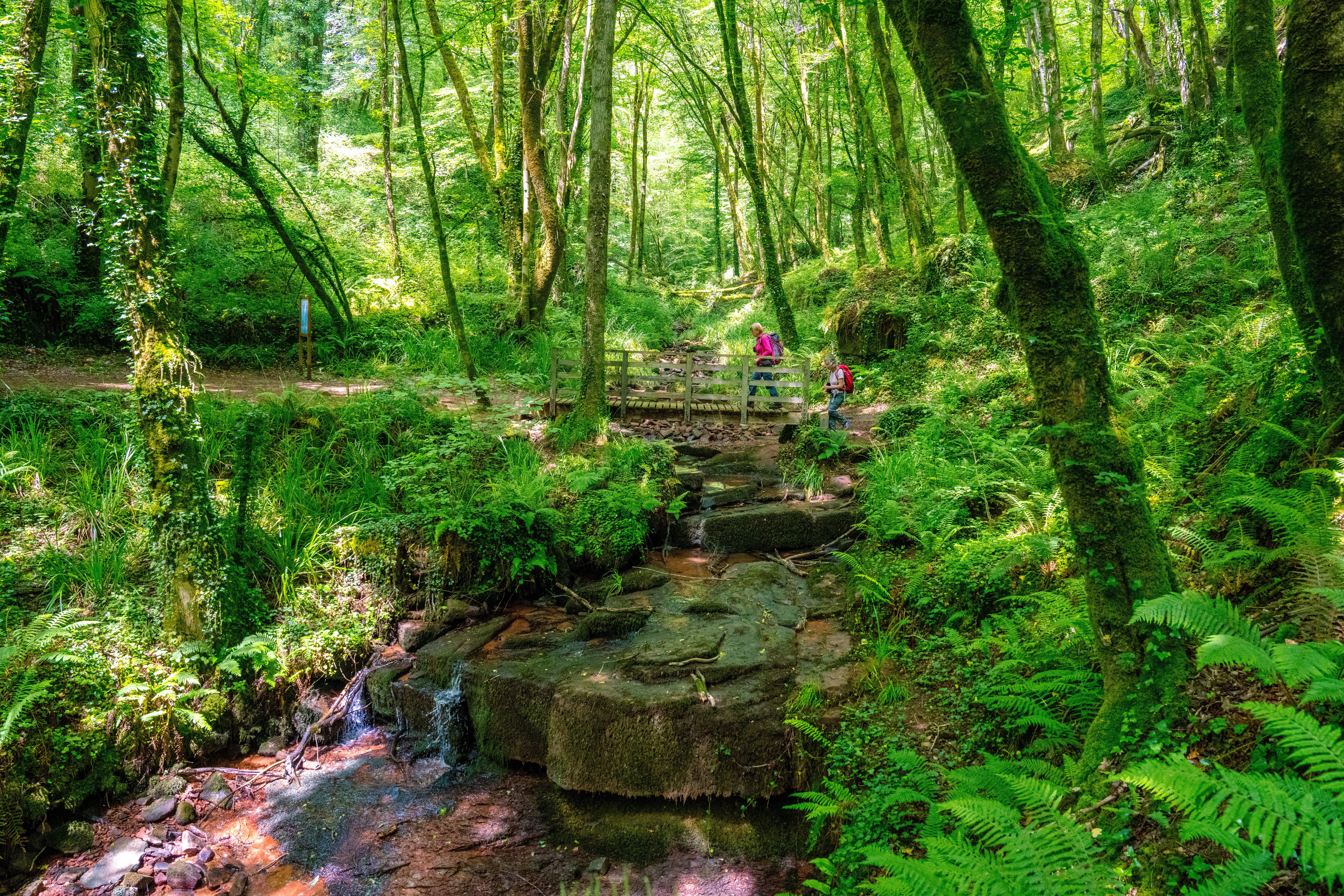 GRP Midi Corrézien - Etape 3 : de Collonges la Rouge au Pescher, Collonges-la-Rouge - photo 9