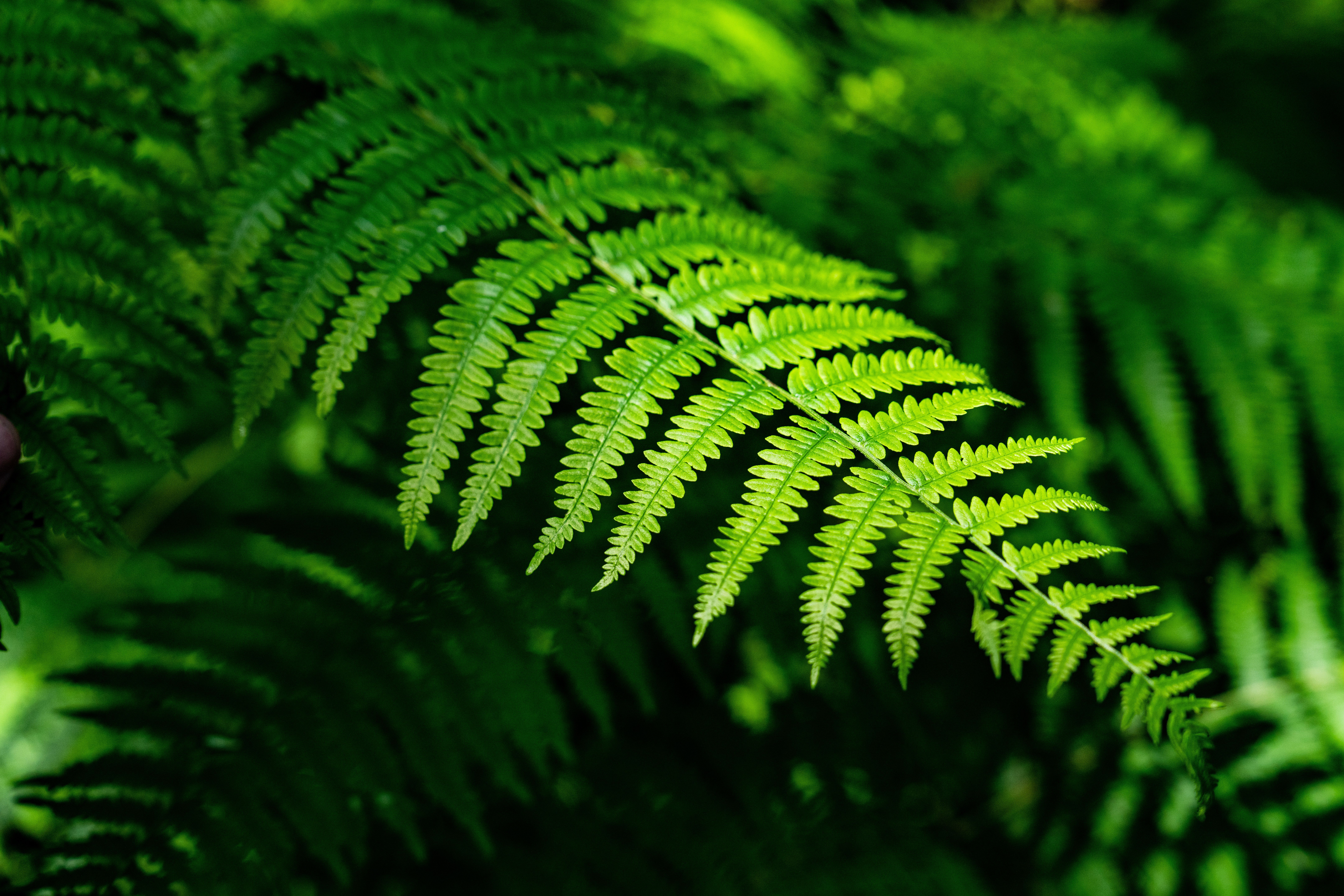 GRP Midi Corrézien - Etape 6 : de Branceilles à Turenne, Branceilles - photo 3