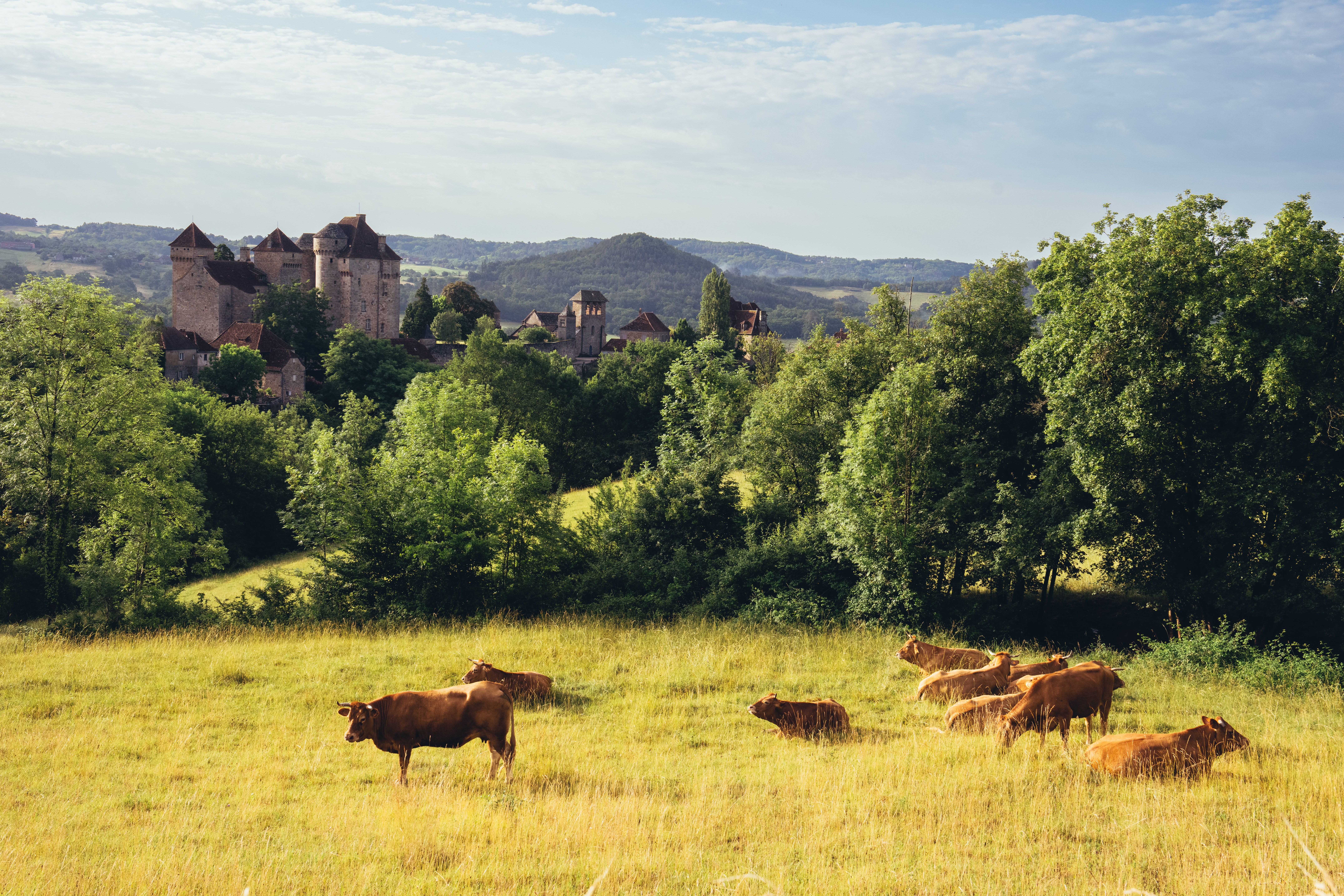 GRP Midi Corrézien - Etape 5 : de Montmaur à Branceilles, Marcillac-la-Croze - photo 4