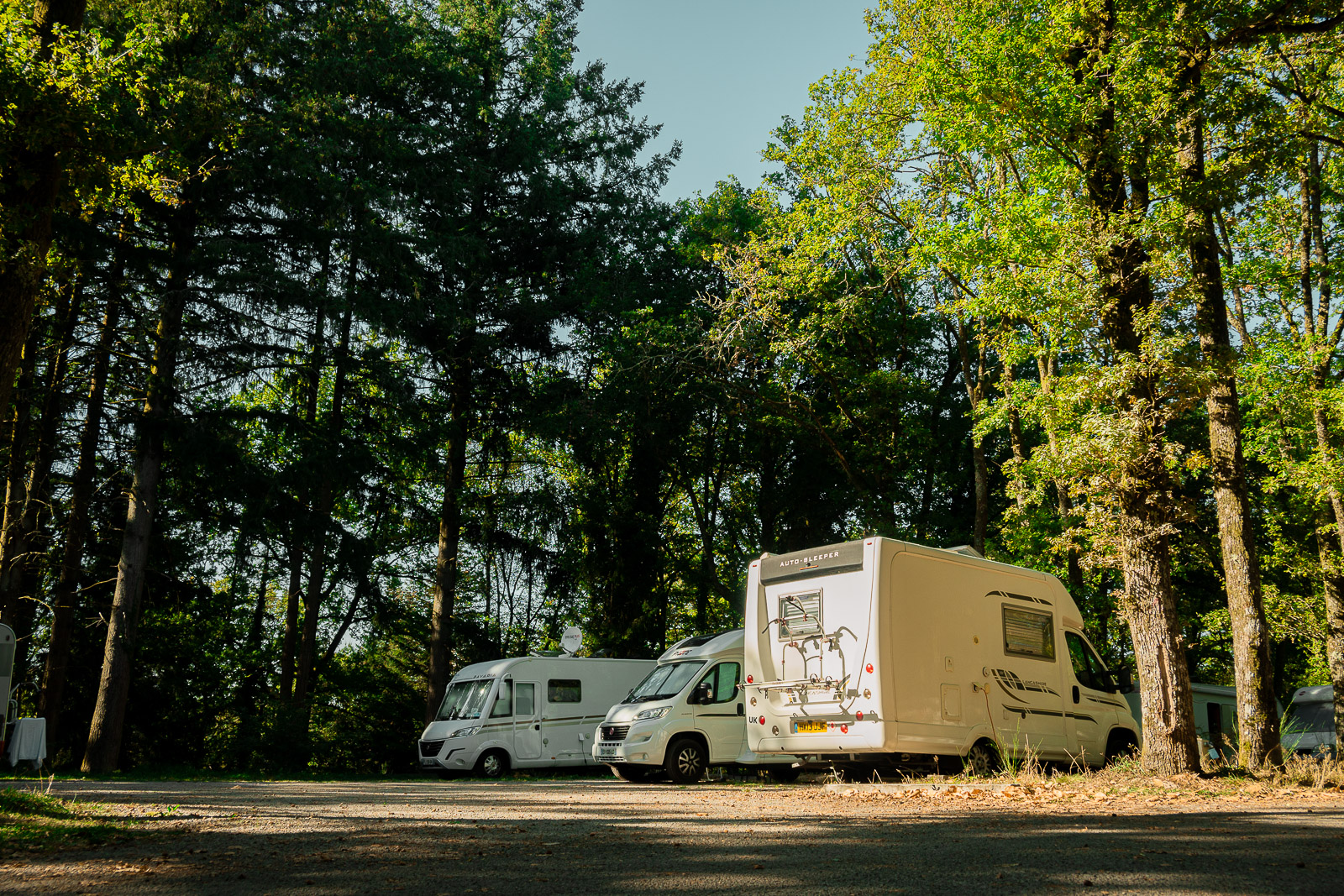 Aire Camping-car Park du Lac de Saint-Pardoux - photo 4