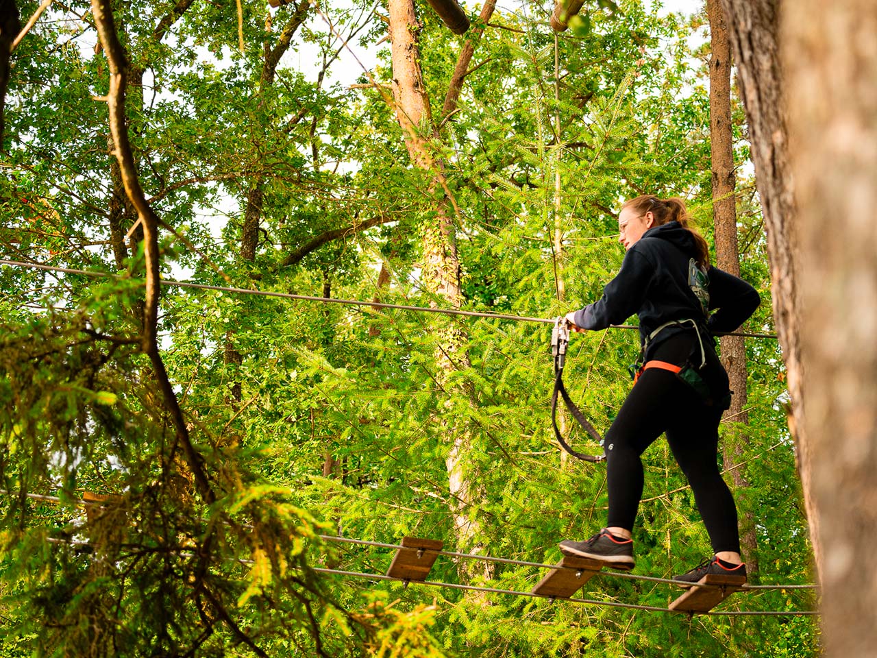 Parc aventure - Lac de Saint-Pardoux - photo 2