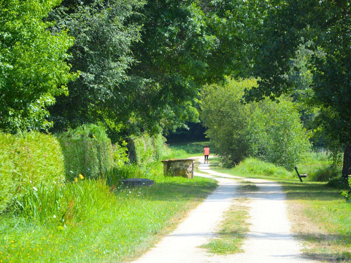 Aire de pique-nique - photo 3
