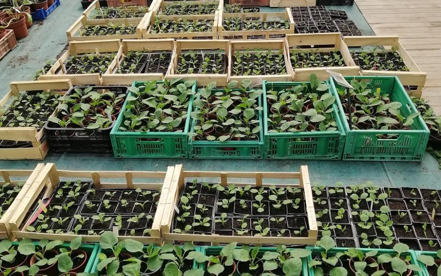 Image de présentation du lieu