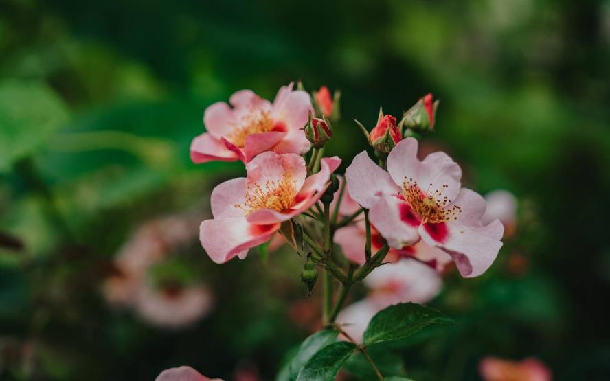 Image de présentation du lieu