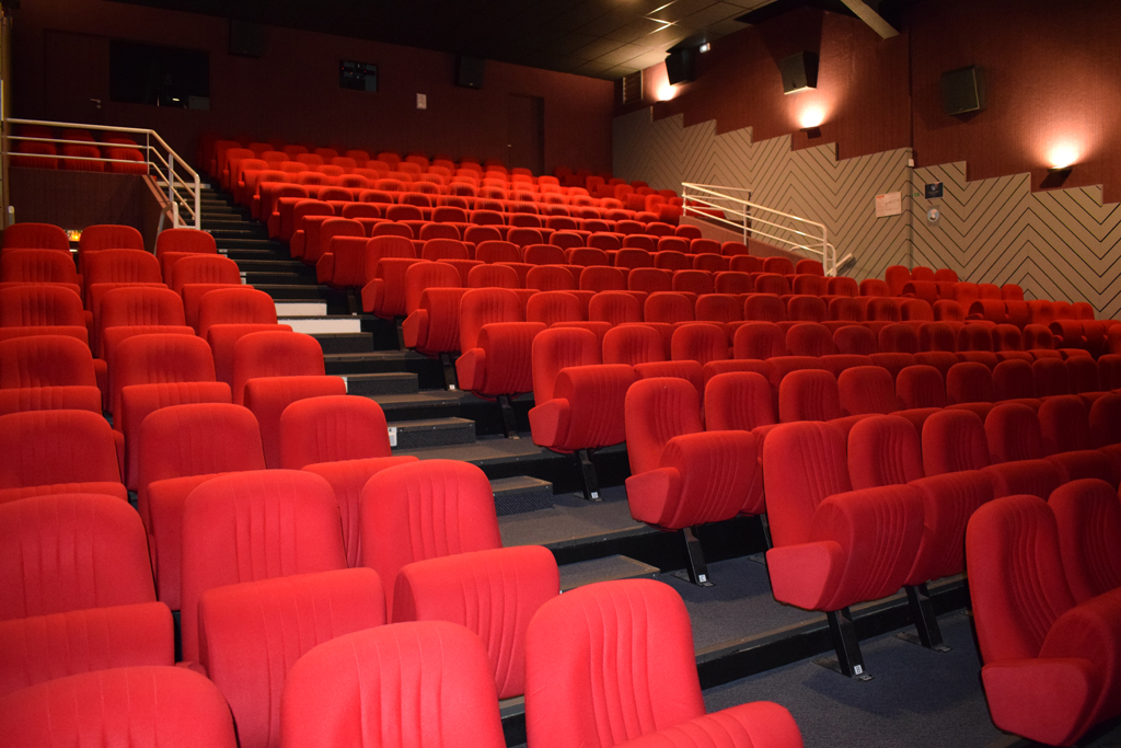 Cinéma Léon, Léon - photo 5