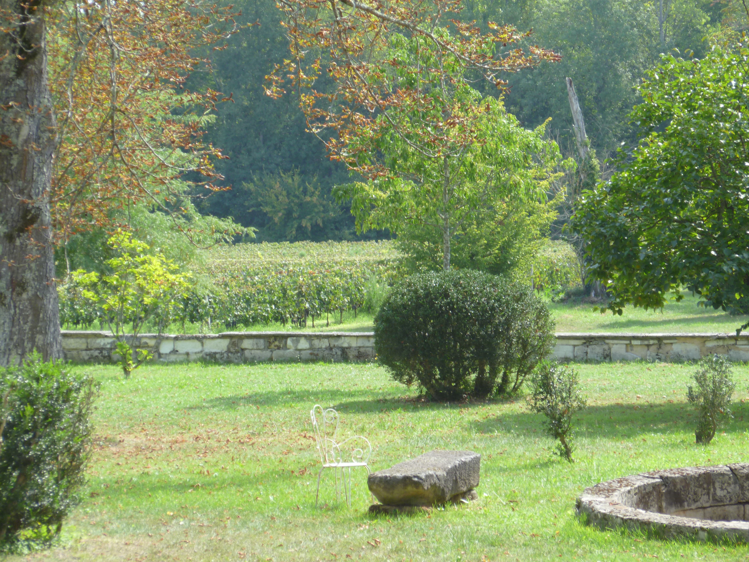 Domaines de la Parrhesia - Clos Couloumey - photo 4