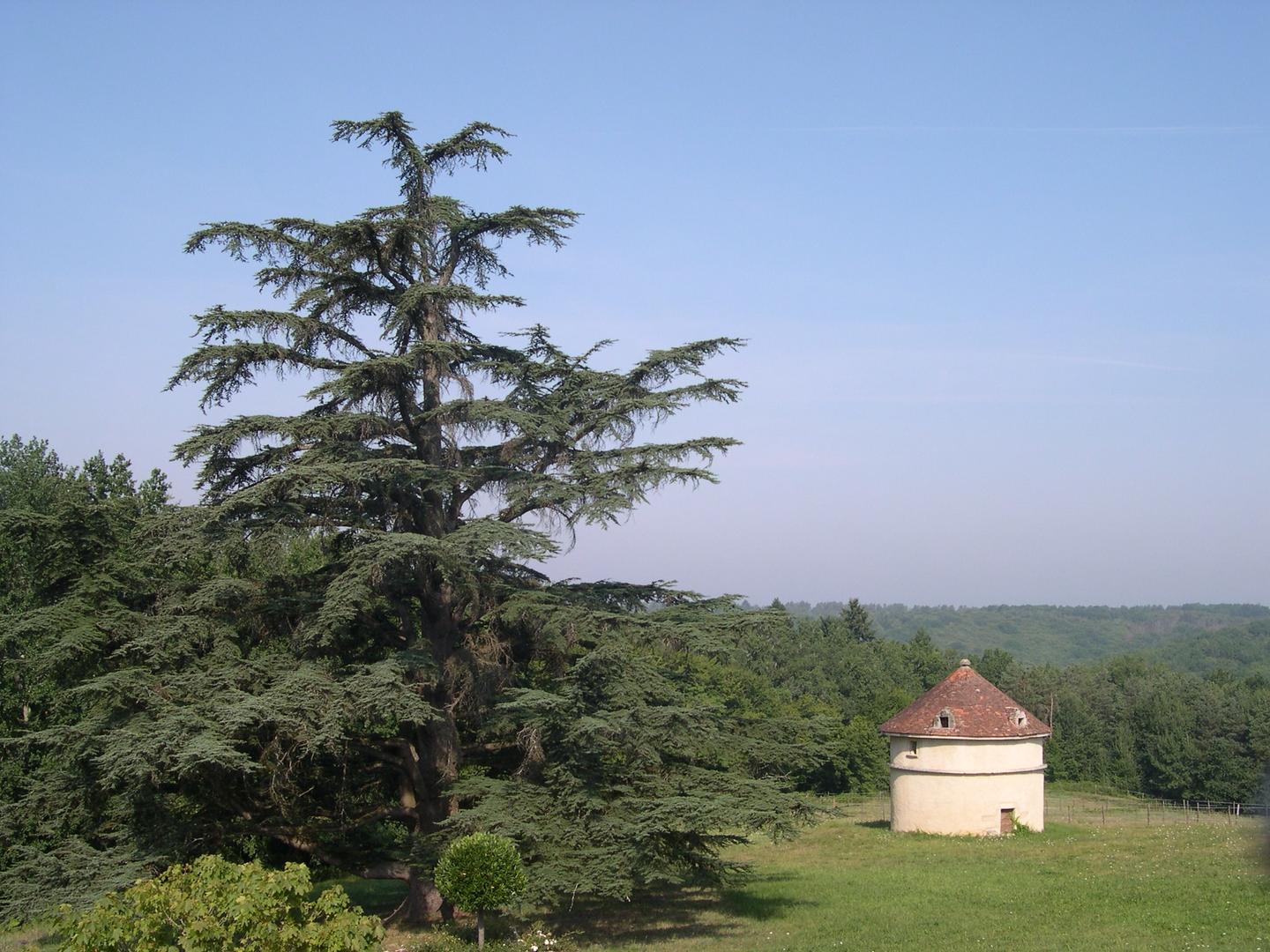 Château de Borie-Petit, Champcevinel