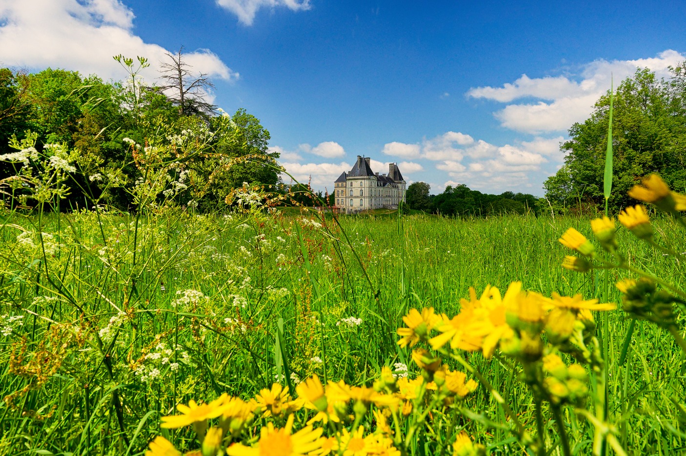 Château de Fayolle, Tocane-Saint-Apre - photo 9
