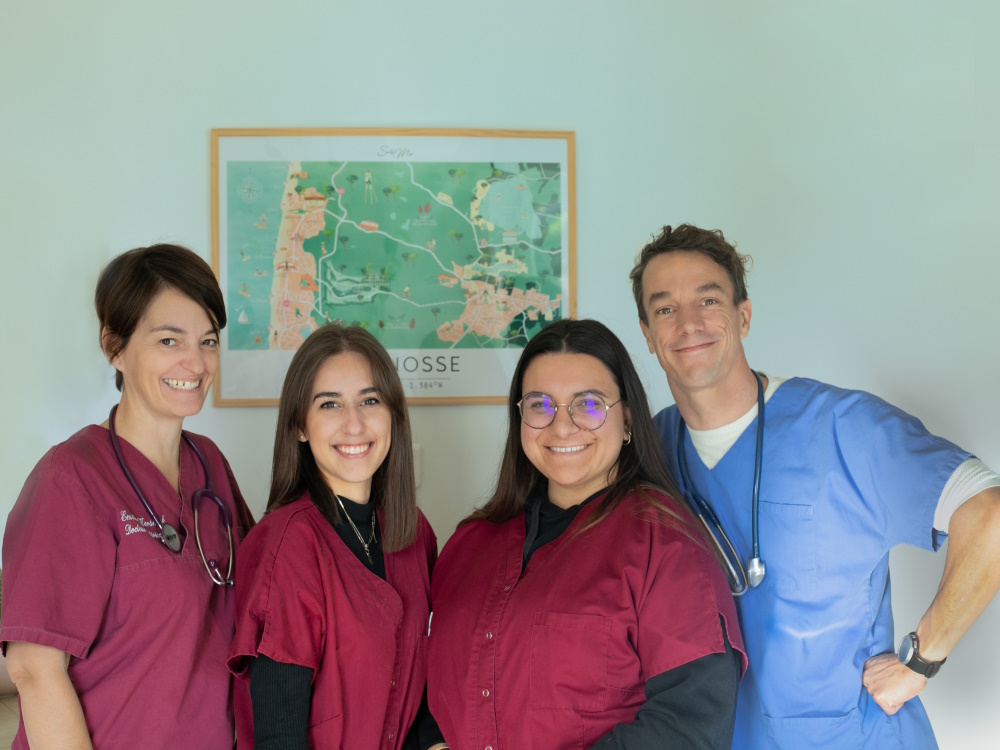 Clinique Vétérinaire de Seignosse