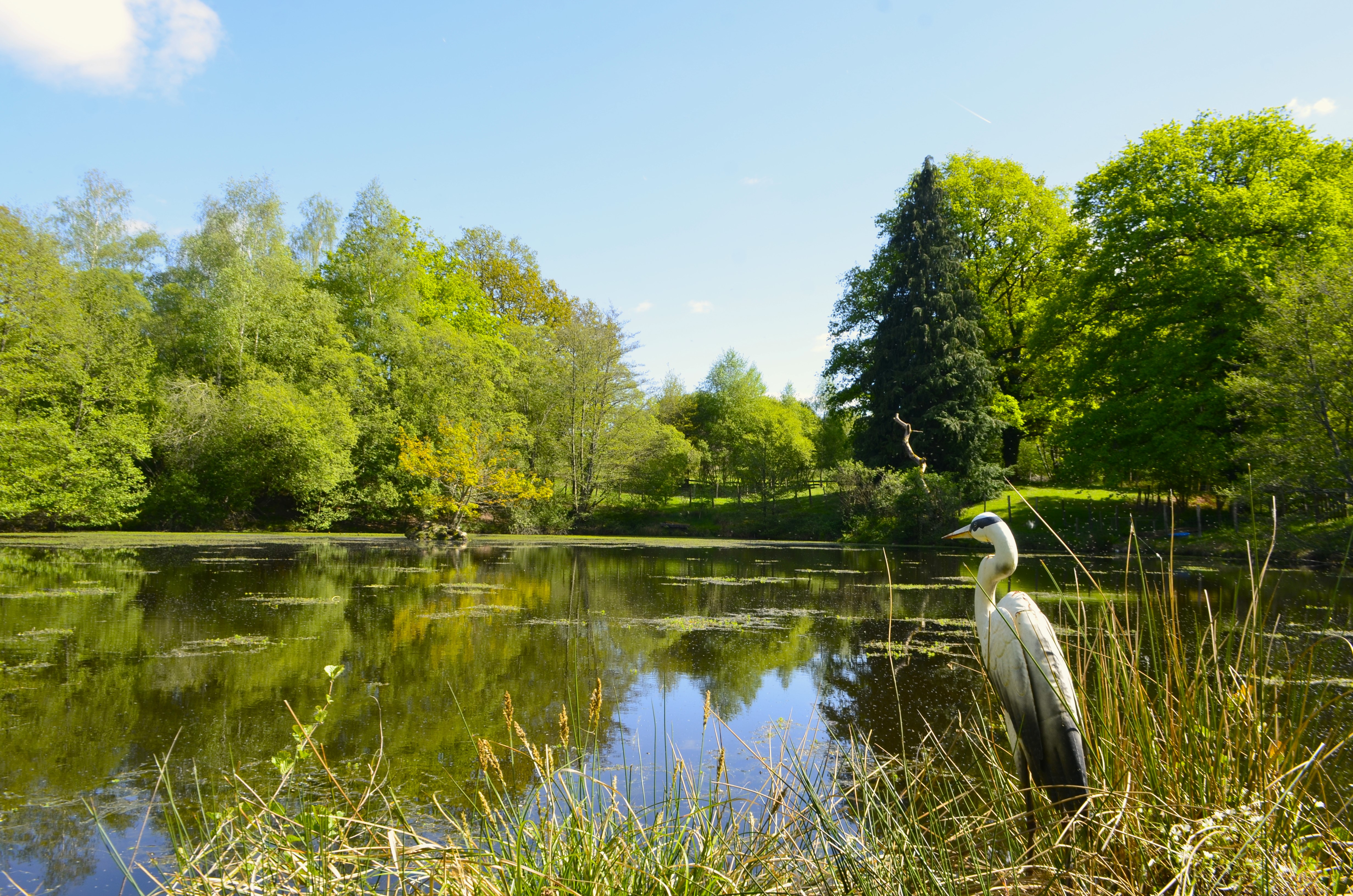 Gite l'Olive, Saint-Bazile - photo 7