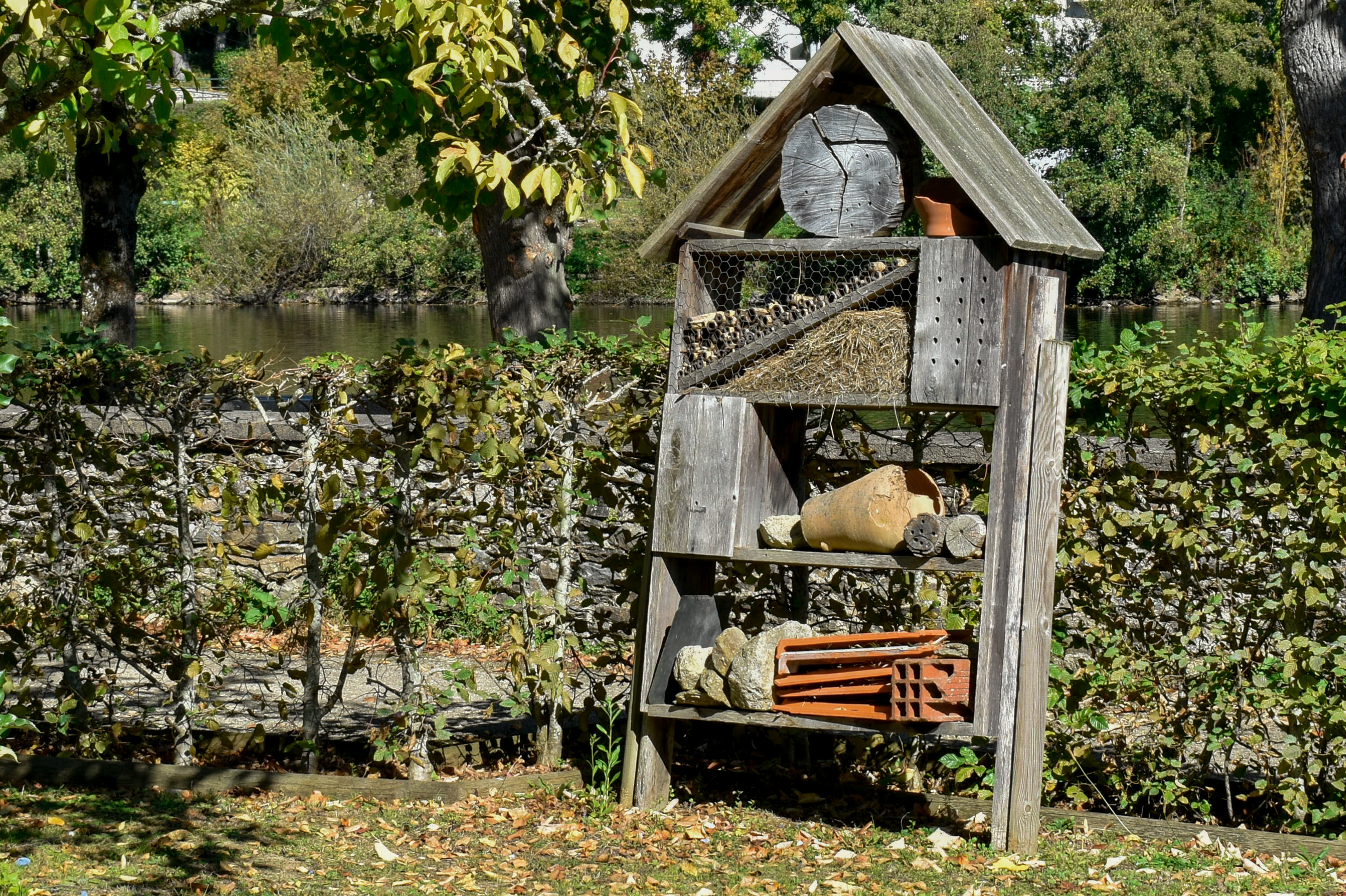 Jardin Jeanne d'Albret, d'inspiration médiévale, Aixe-sur-Vienne - photo 2