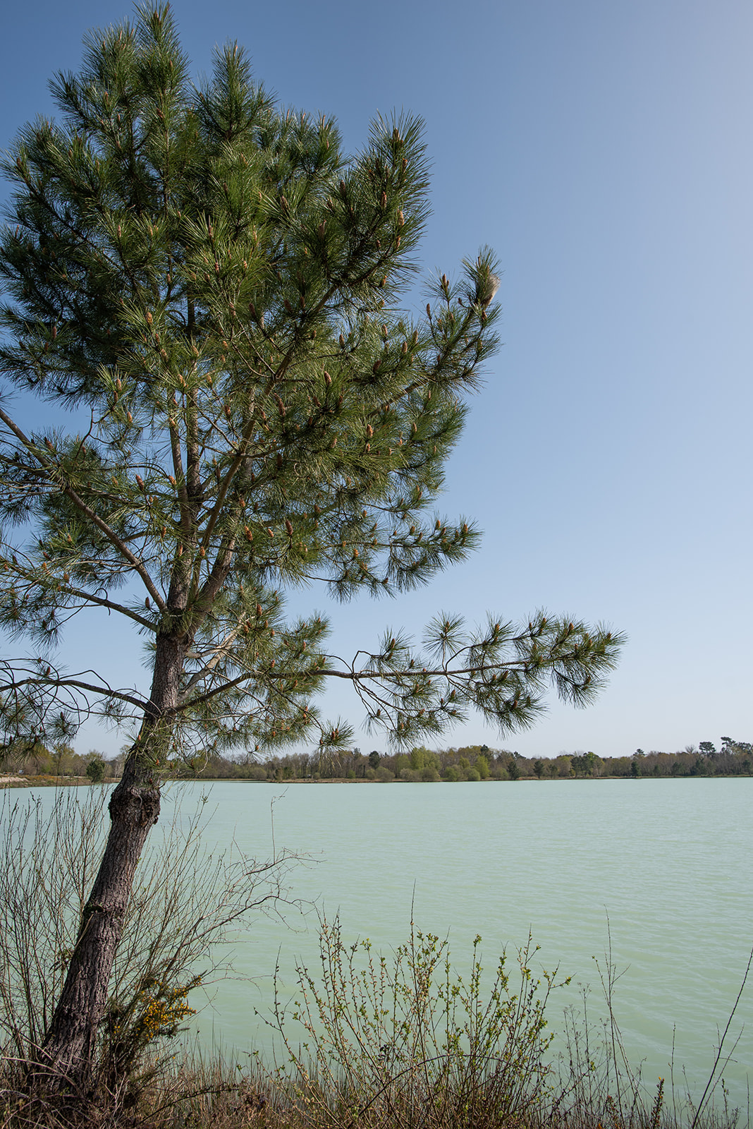 Pêche à l'étang de Bronturon