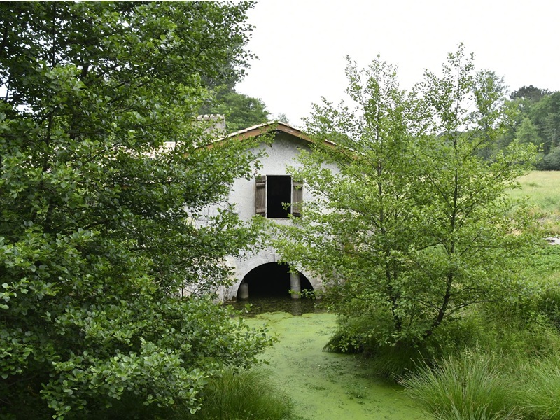 Visuel évènement