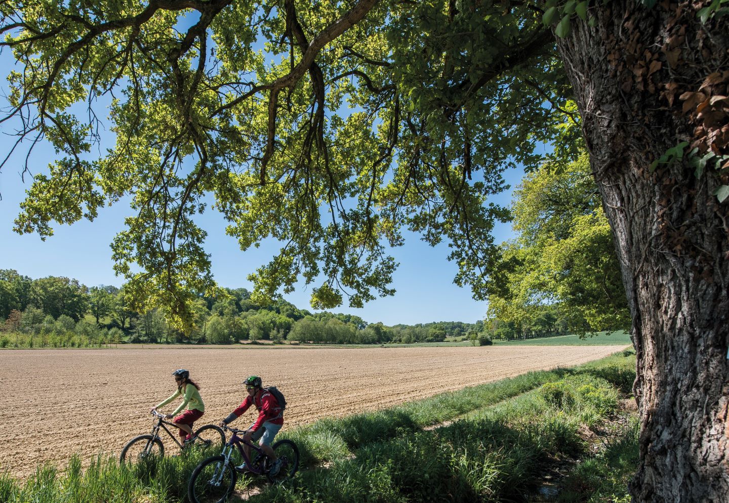Arzacq-Arraziguet : de la bastide à la forêt à VTT - photo 5