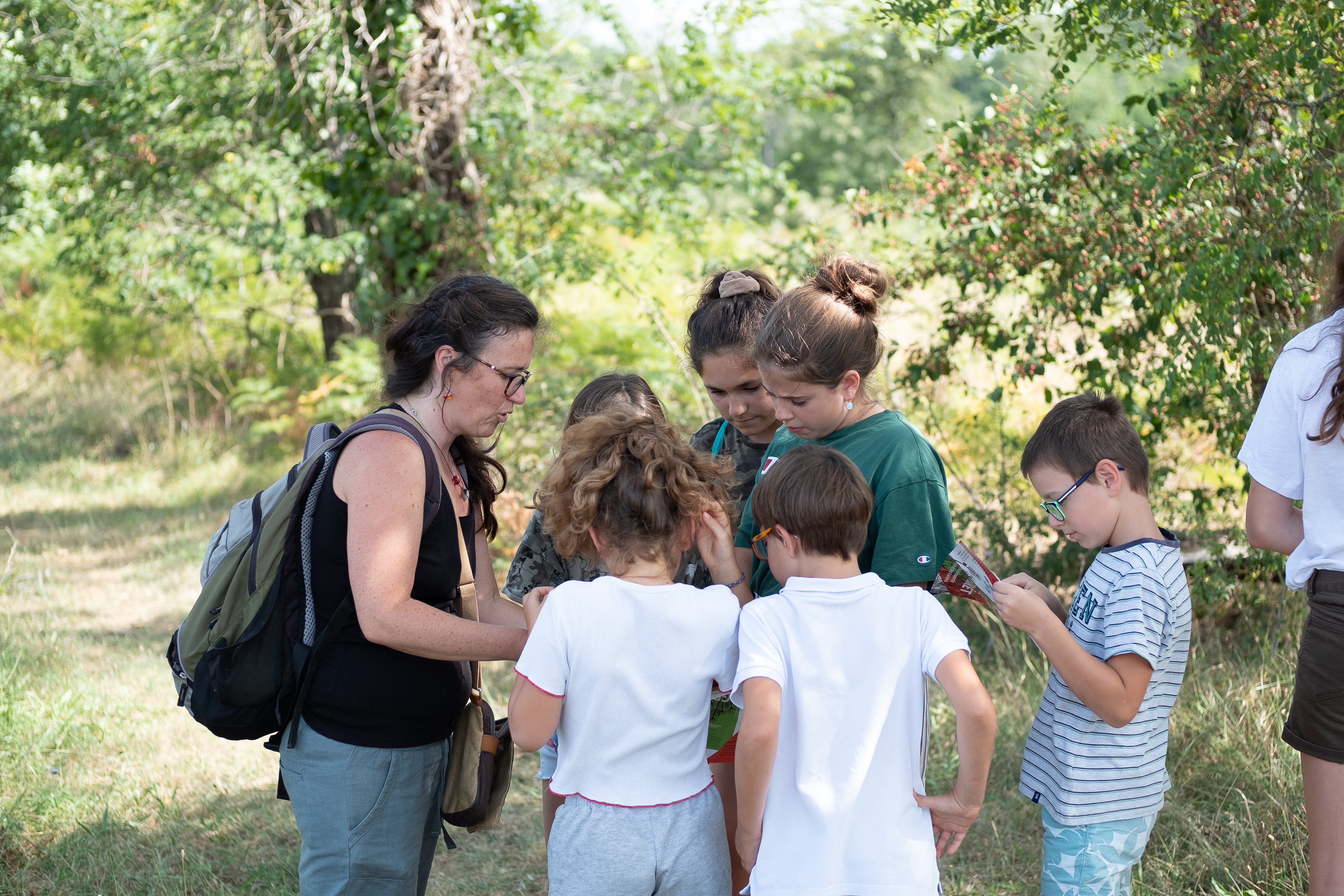 Sentier pédagogique et Arboretum de Graine de Forêt