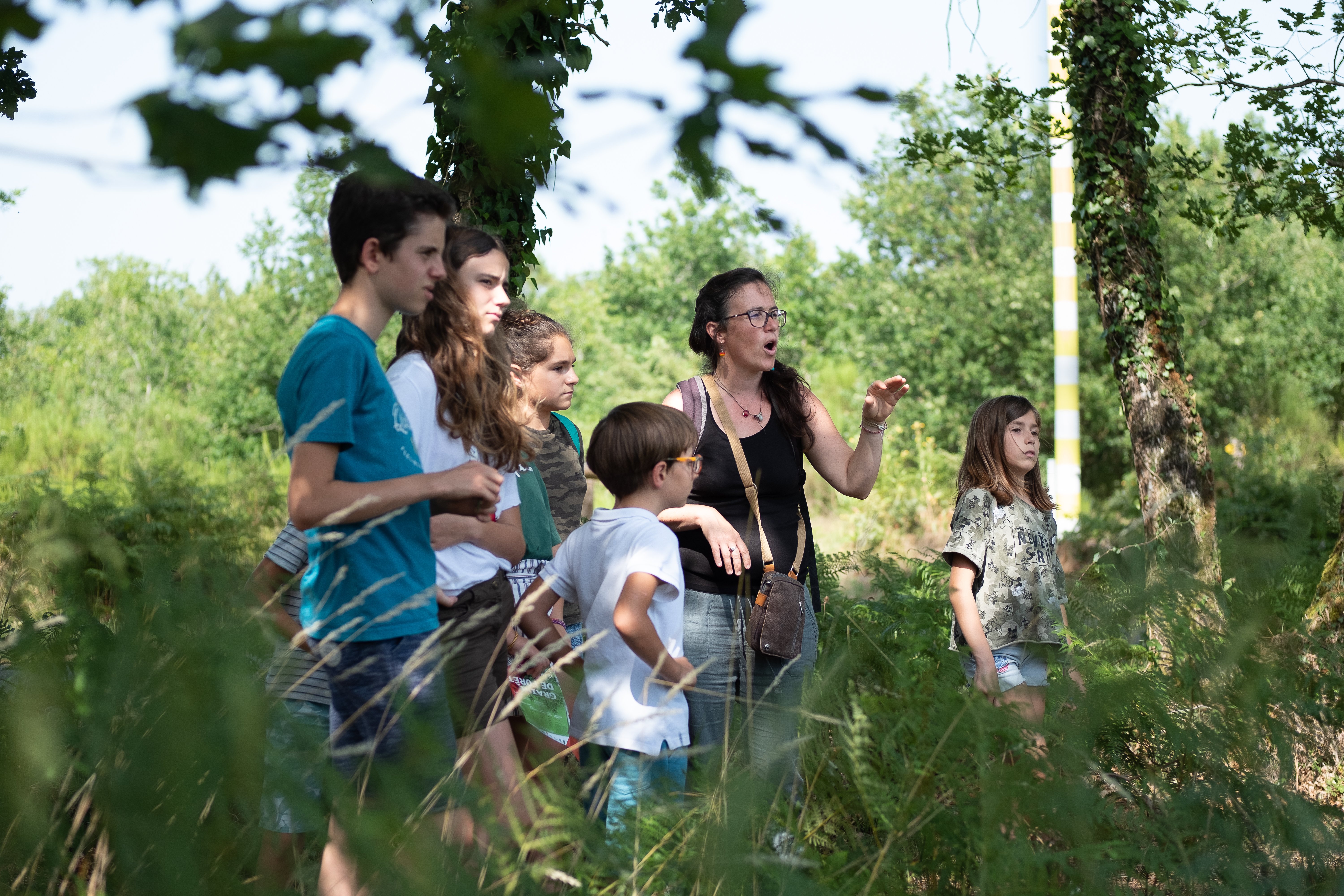 Sentier pédagogique et Arboretum de Graine de Forêt, Garein - photo 10