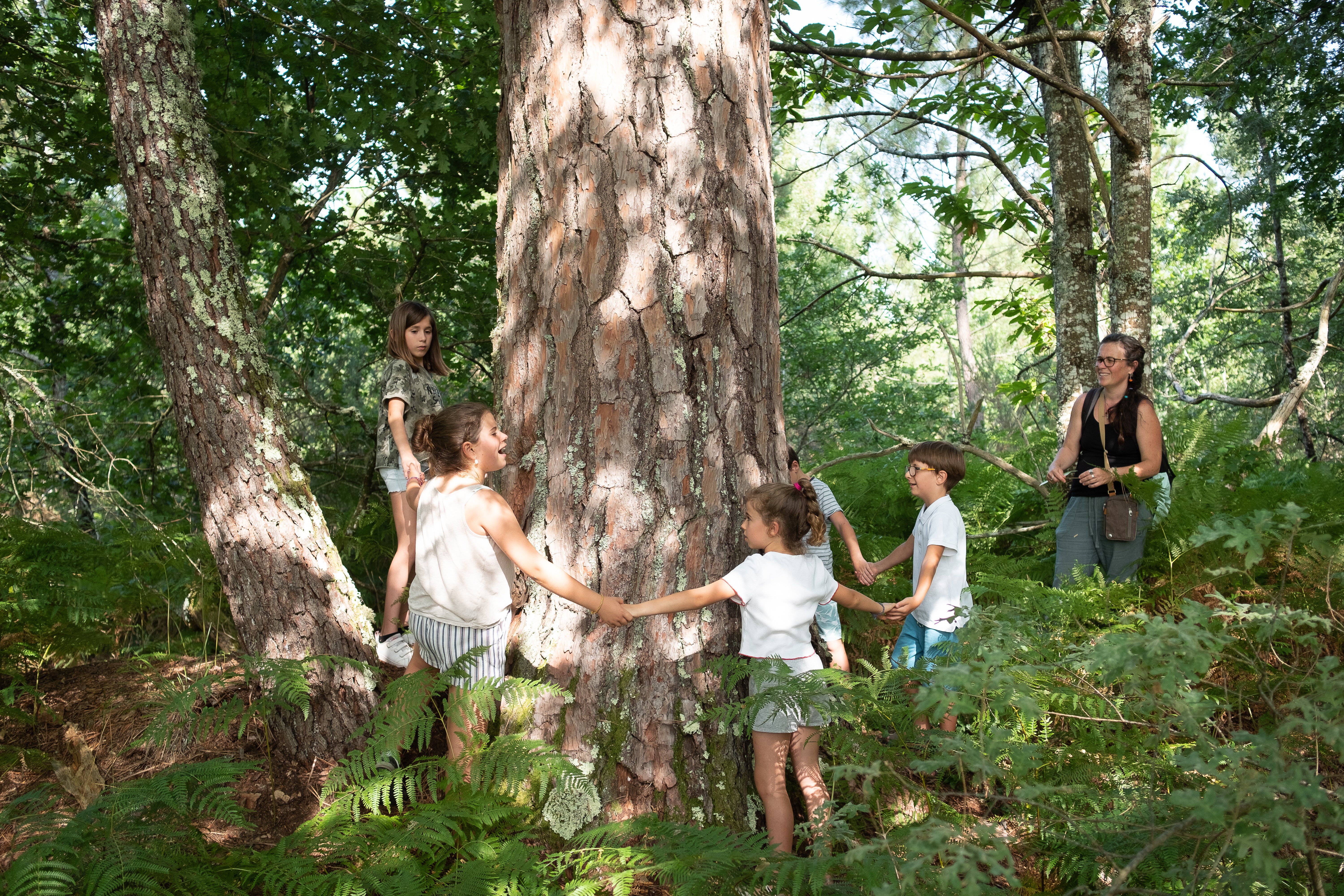 Sentier pédagogique et Arboretum de Graine de Forêt, Garein