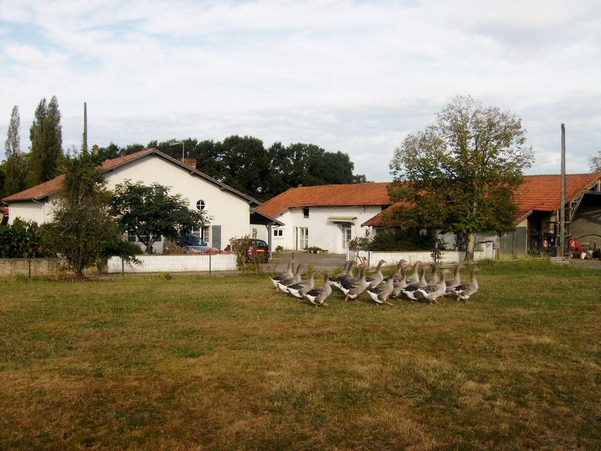Ferme Pélerin - photo 4