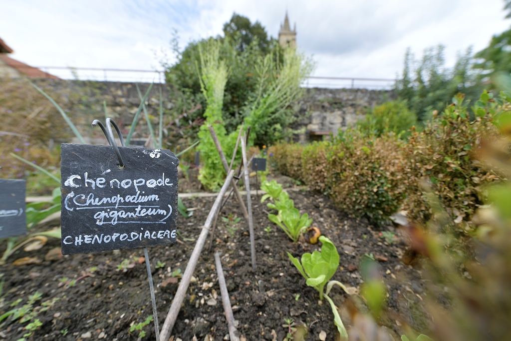 Jardin médiéval, Geaune - photo 3